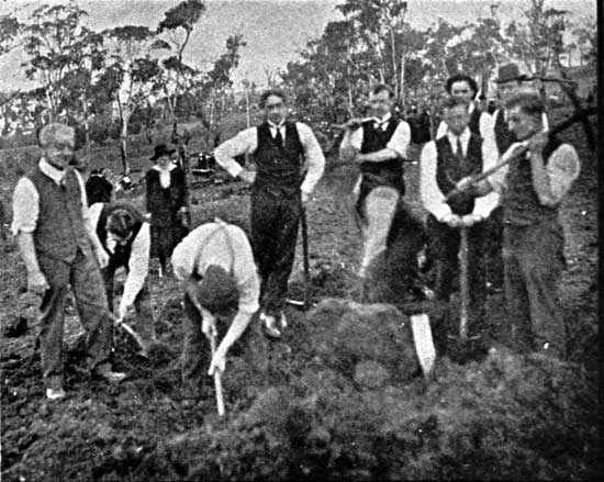   Group of workers who assisted with the digging of holes for the Soldiers Avenue, 29/6/1918.  [Tasmanian Mail 4th July 1918 p19] 