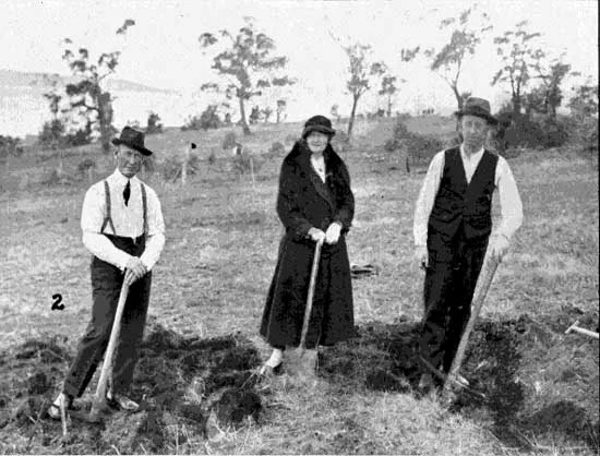  Miss Addison and party preparing spot for her brother's tree, 22/6/1918.&nbsp;  [Tasmanian Mail 27th June 1918 p19] 