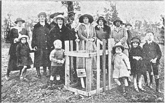   Family gathered at the tree for Dvr Lighten.&nbsp;  [Tasmanian Mail 8th August 1918 p18] 