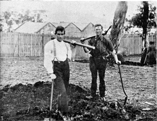   Preparing the site for Pte Scott's tree, the first of the New Town row (Powder Magazine in background), 13/7/1918.&nbsp;  [Weekly Courier 18th July 1918 p19] 
