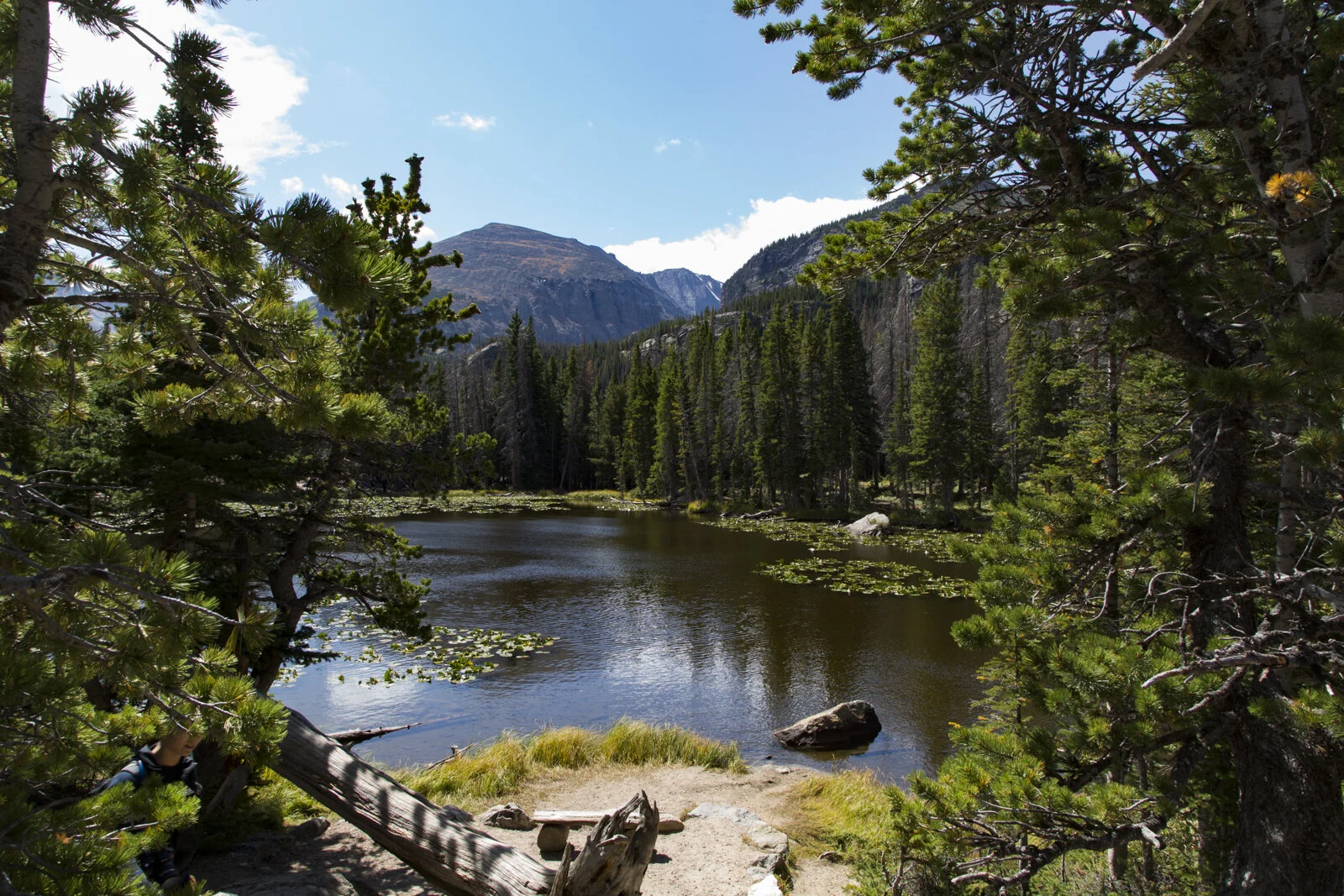 Nymph Lake, Rocky Mountain National Park