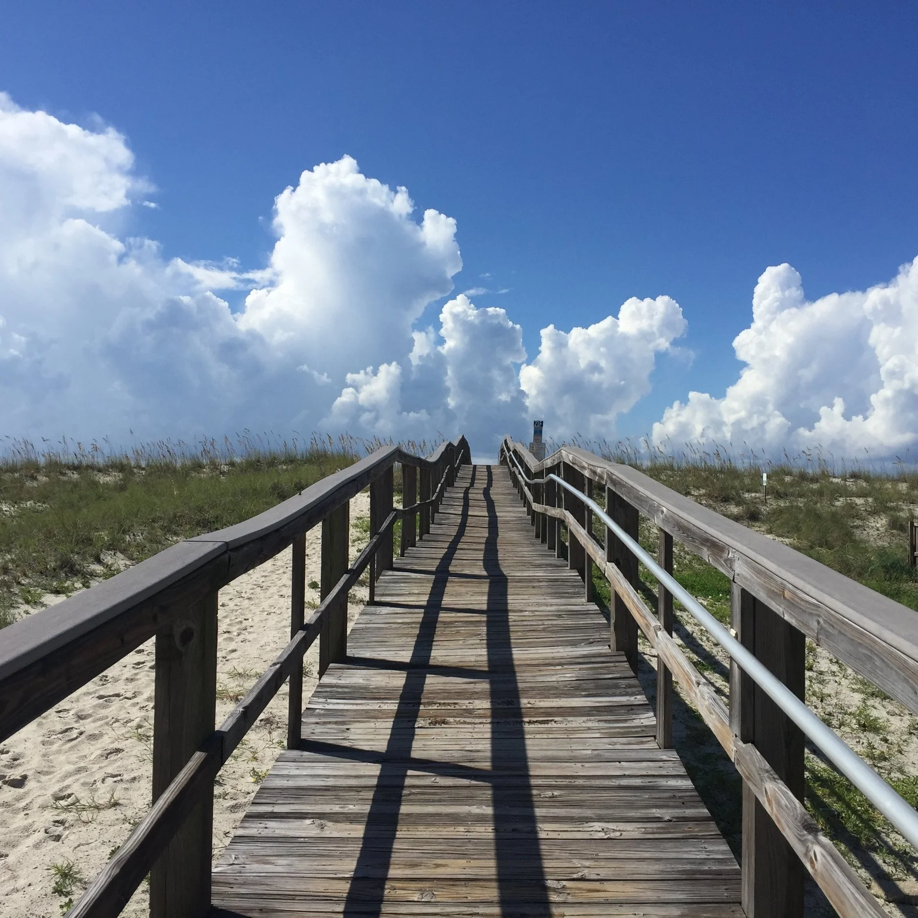 Reflections on 2016.