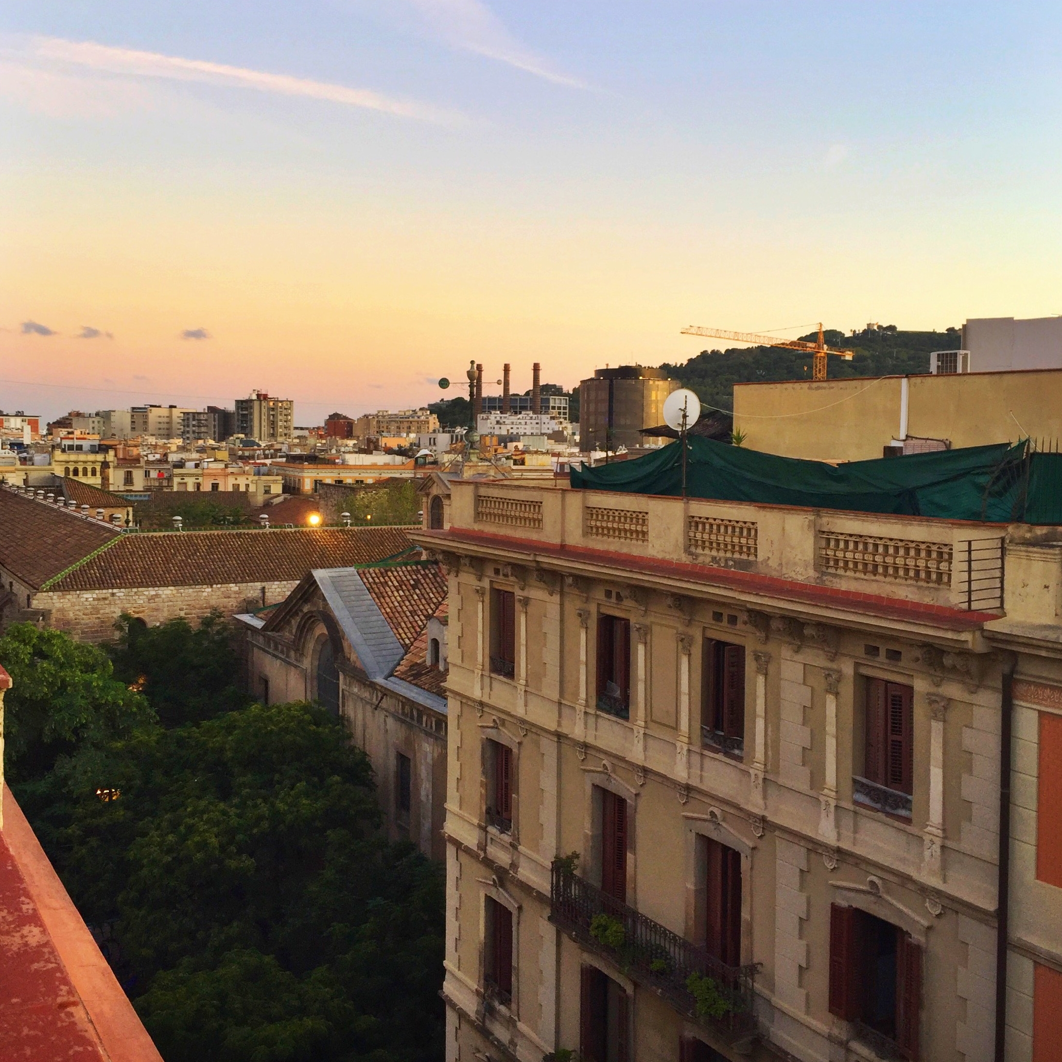 Yoga. My Love Language.