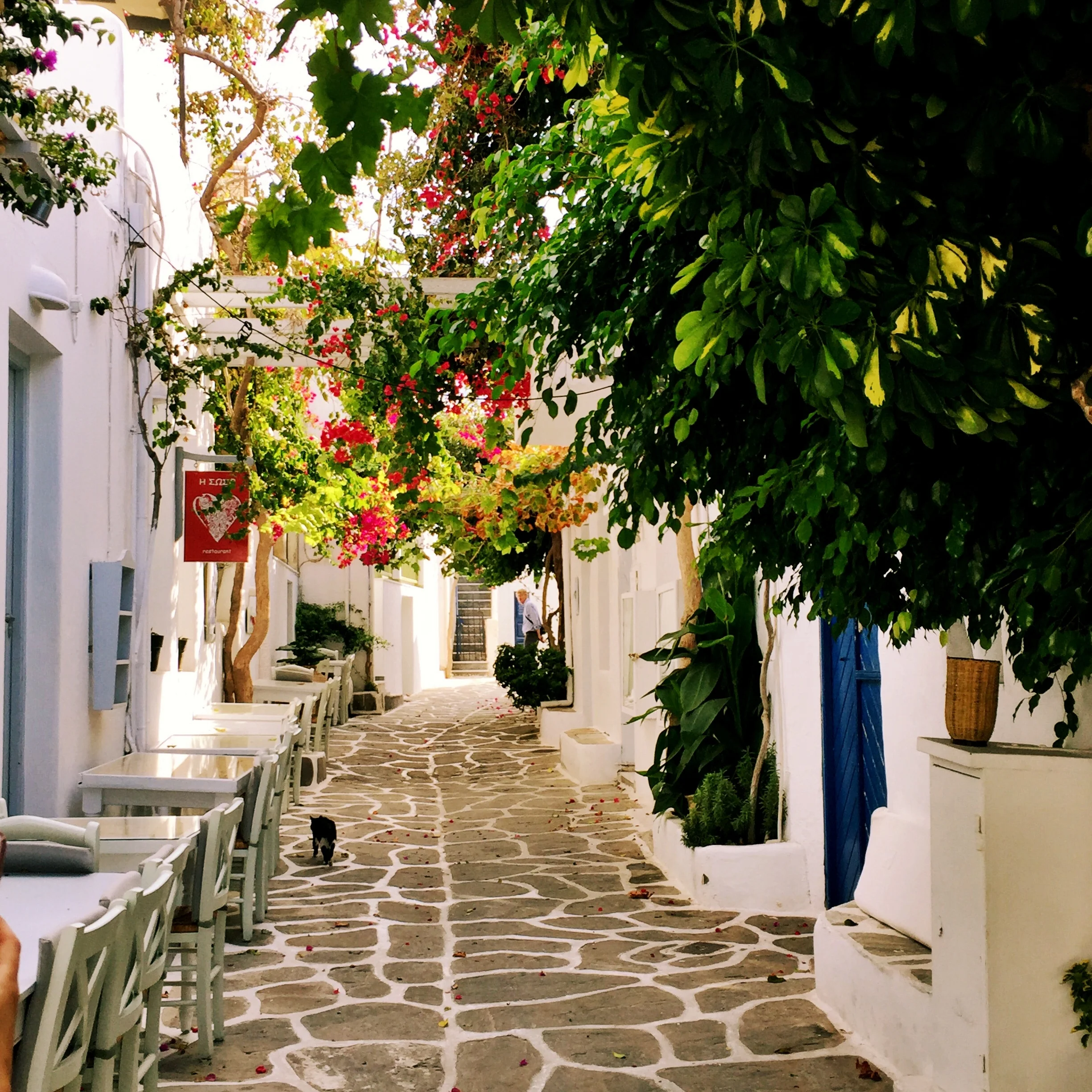 Choose Your Words Wisely.