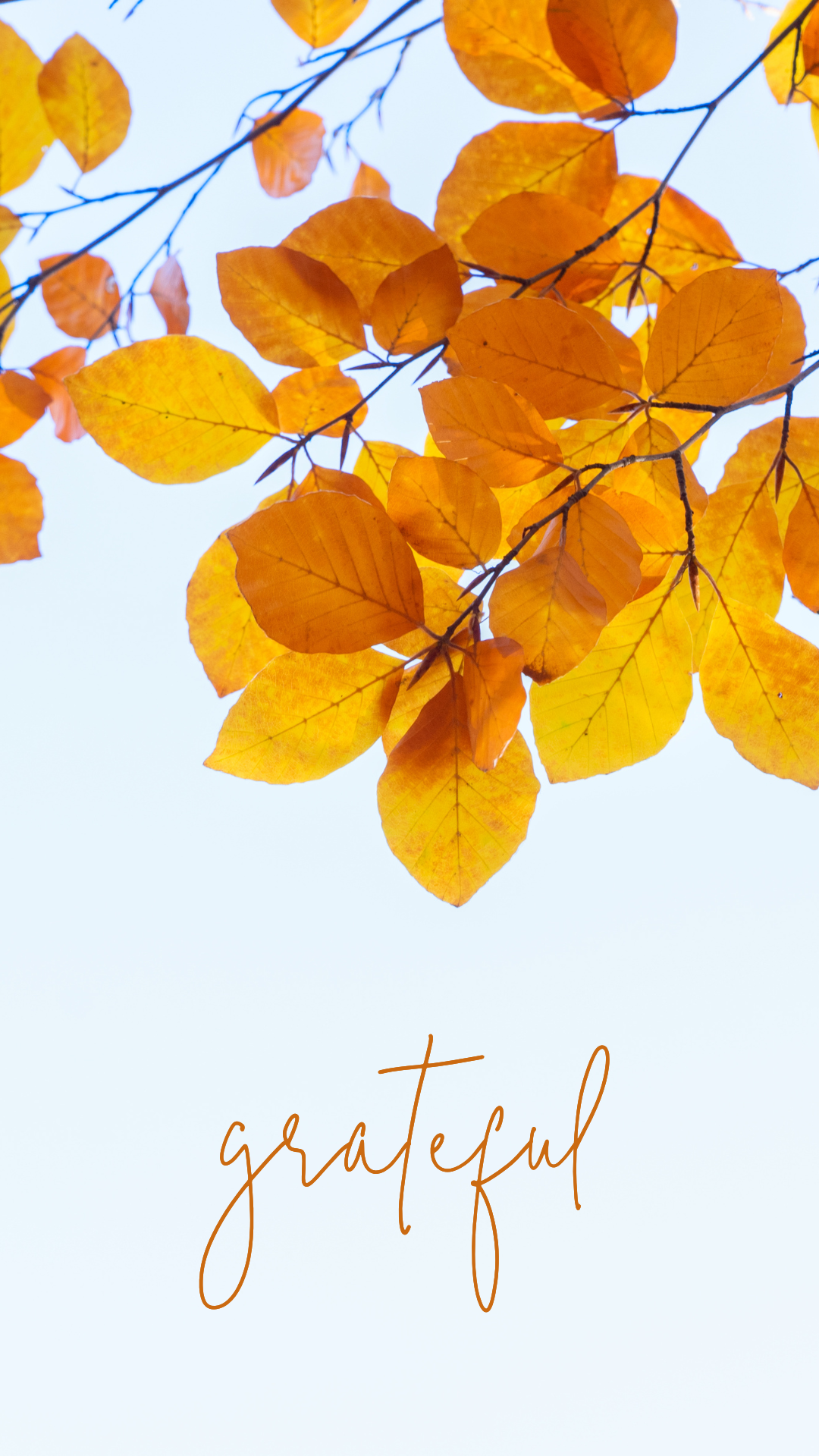 Grateful Leaves Phone Wallpaper