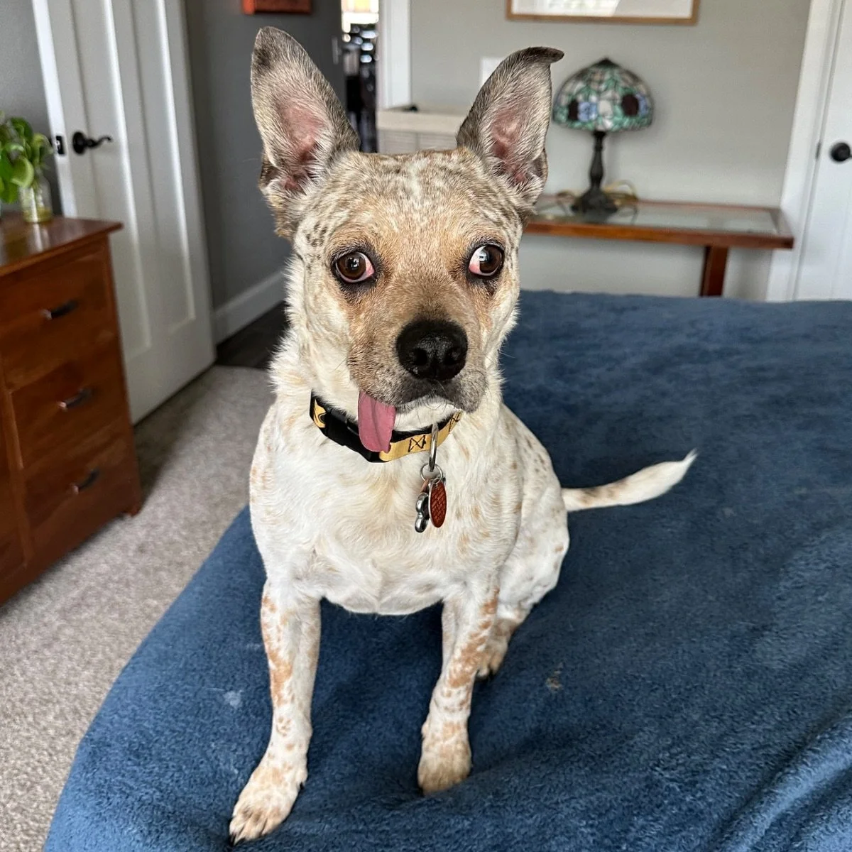 Supporting New Growth.