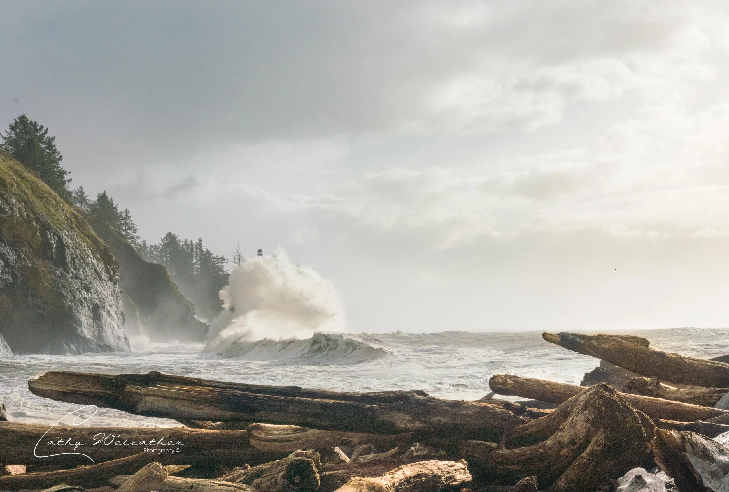 Cape D 1-11-20 a logo.JPG