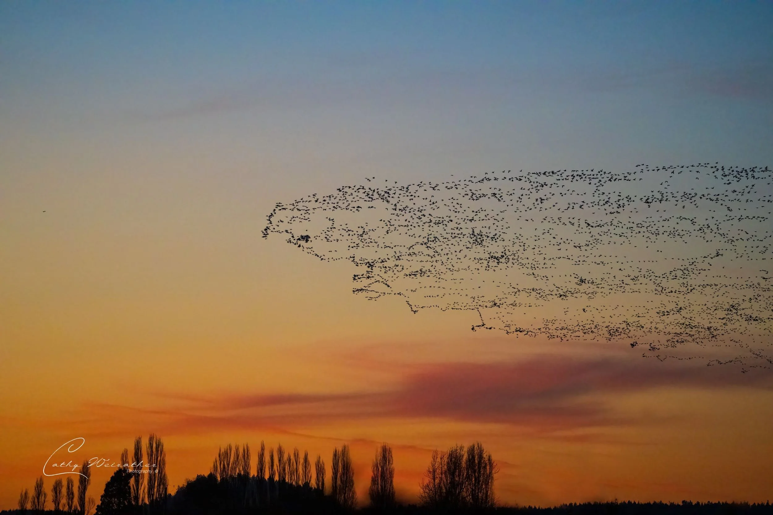 a, web Skagit LL (96 of 119).JPG