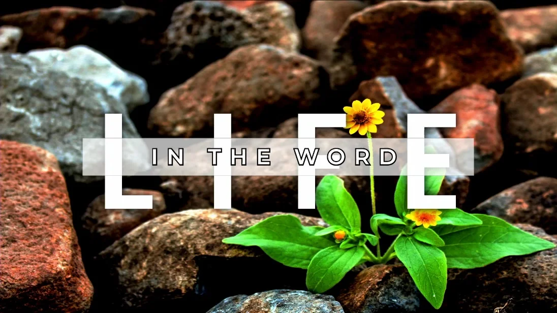 LIFE: In the Word