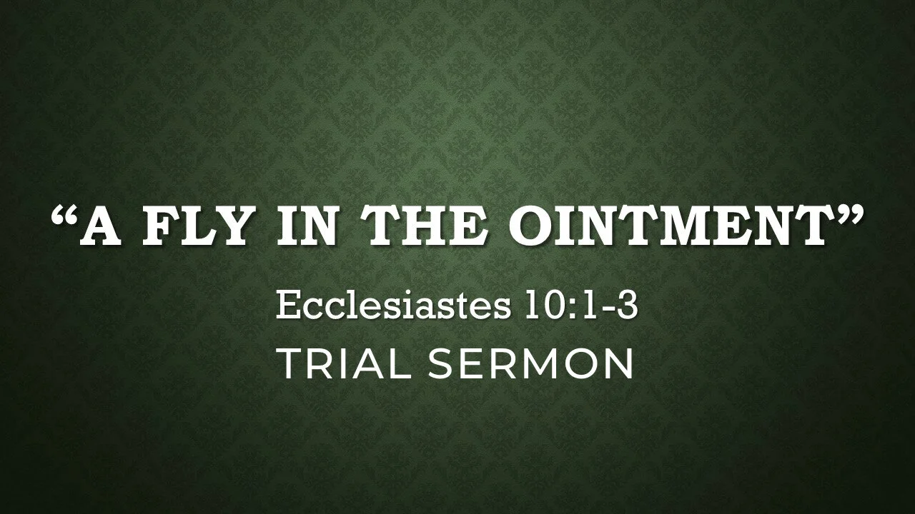 A Fly in The Ointment