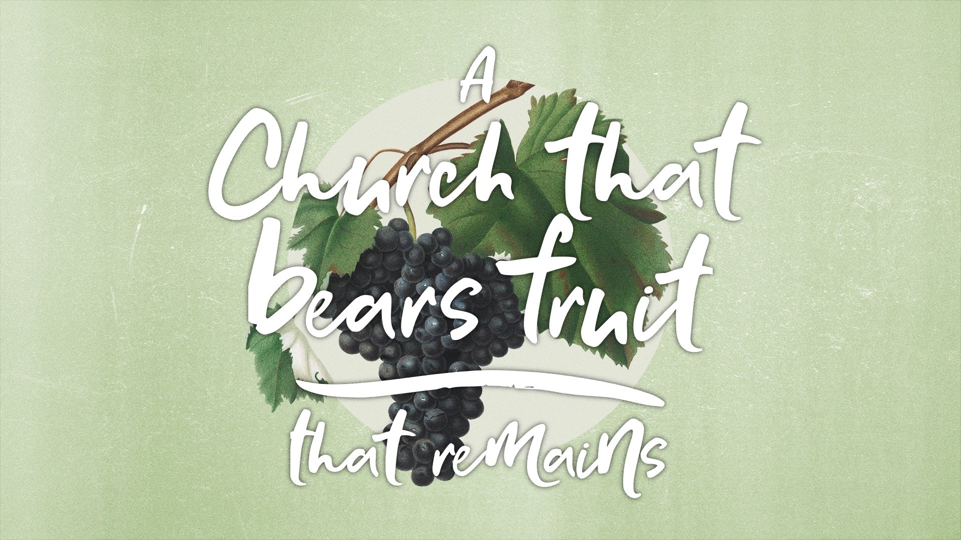 A Church That Bears Fruit That Remains