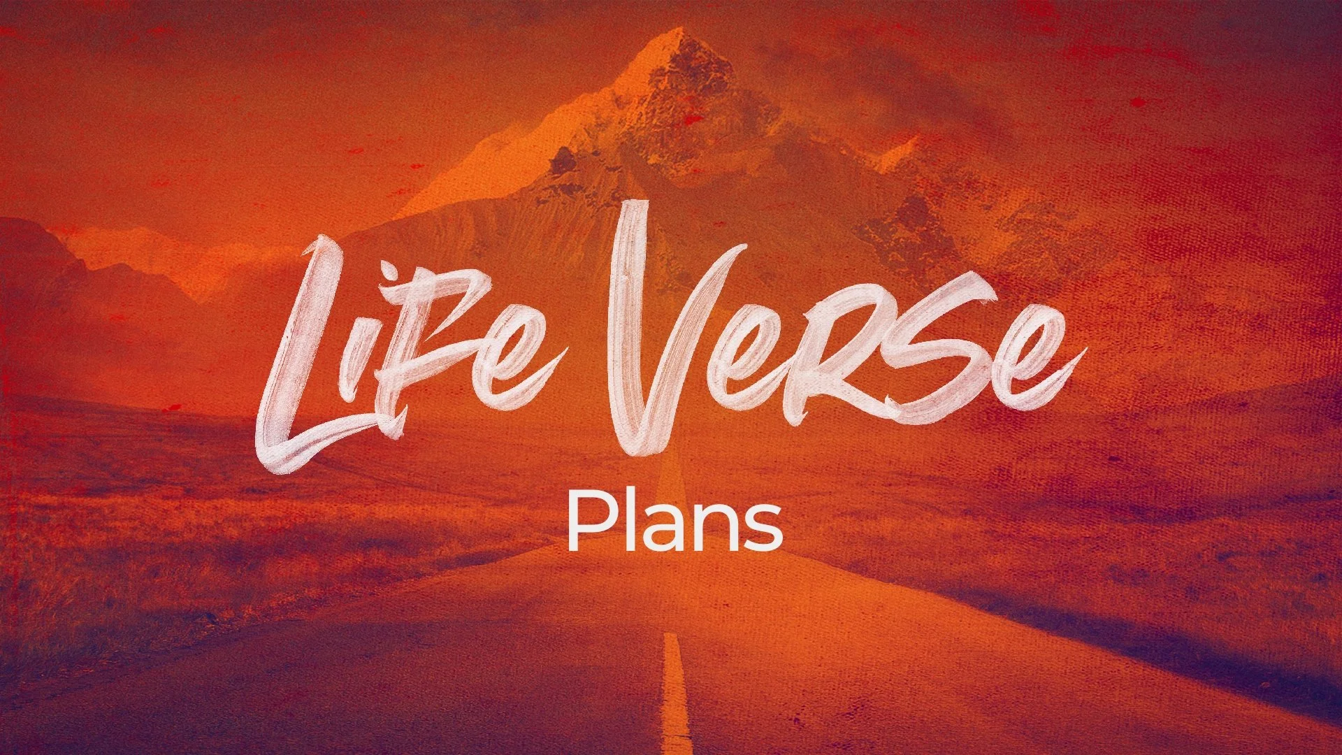 Life Verse: Plans