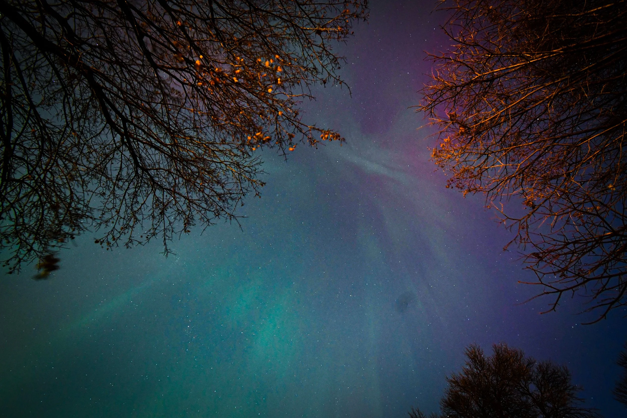 DSC_4305.jpg