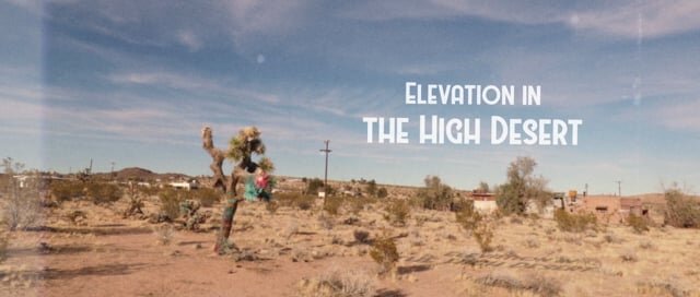Elevation in the High Desert / EvansEyes