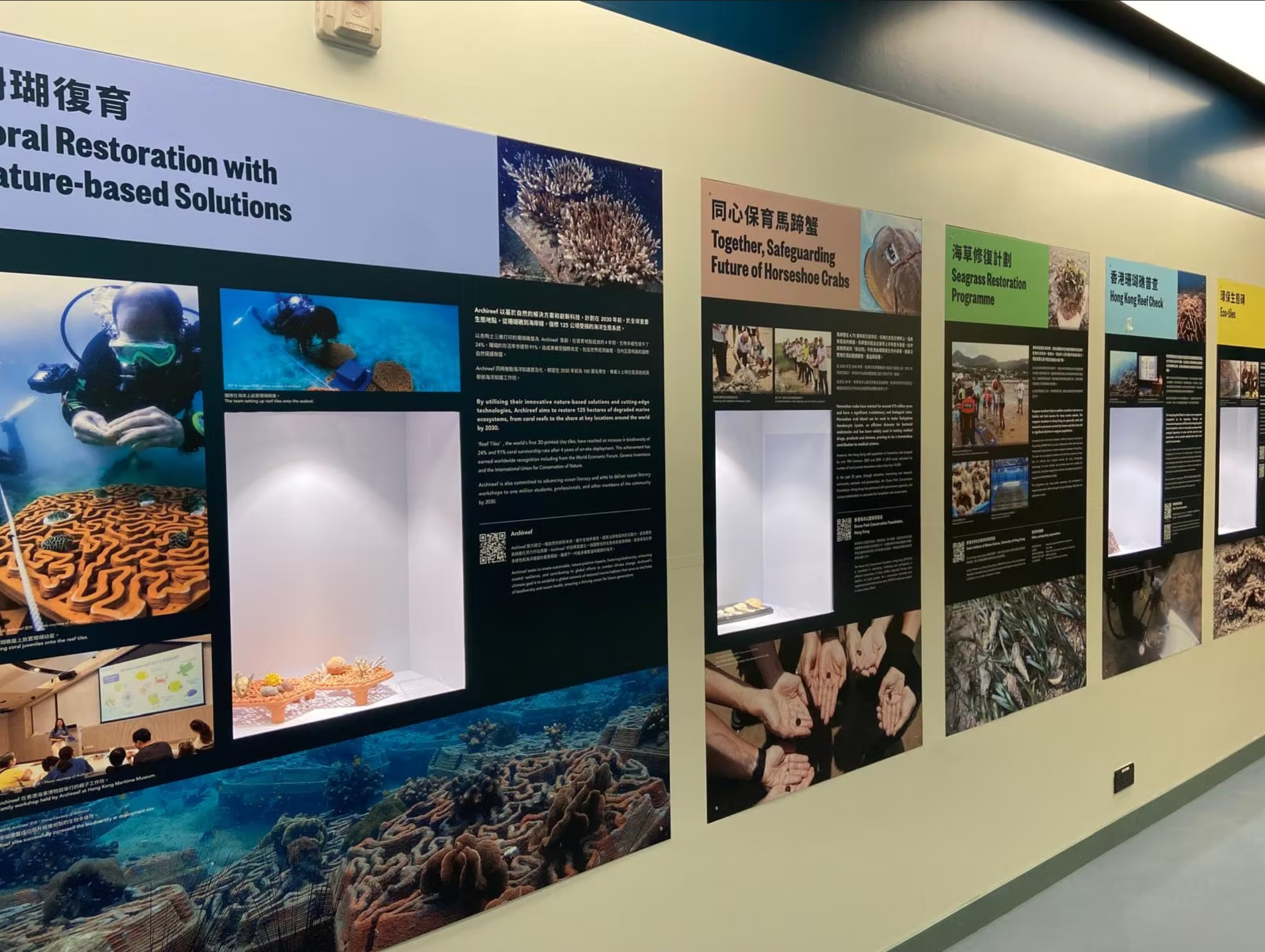 HKMM Marine Discovery (9).png