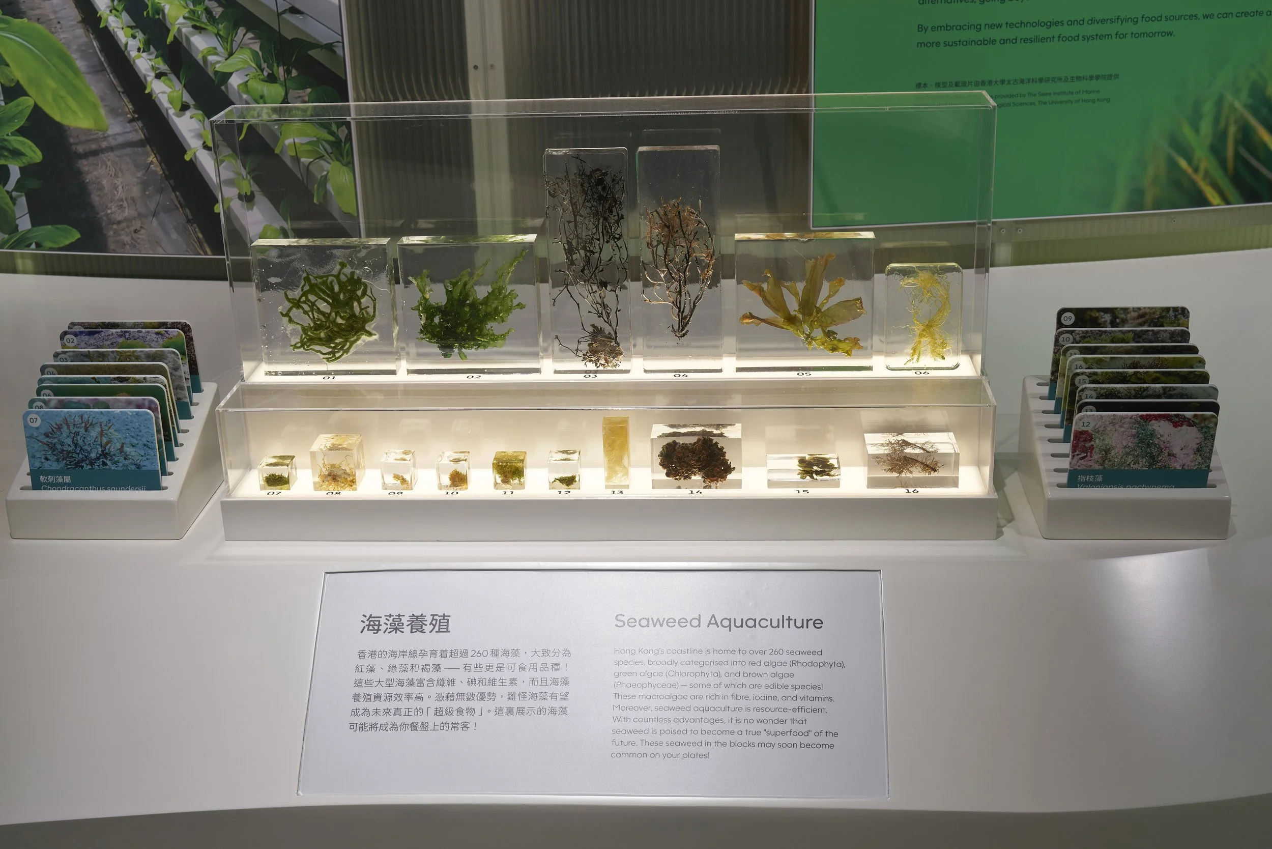 Science Museum 03-06.jpg