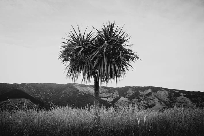 Tohu-Whenua-Awa040.jpg