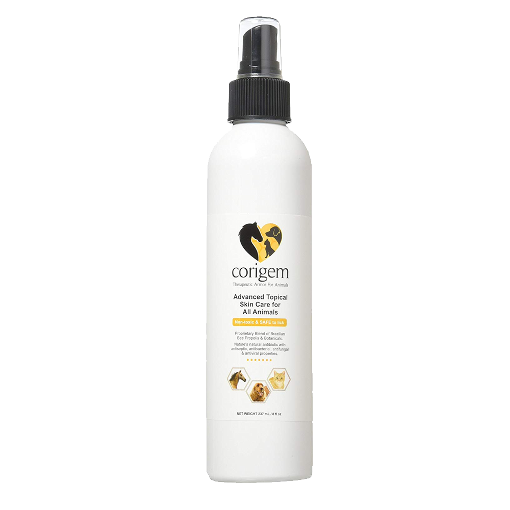 corigem spray bee propolis