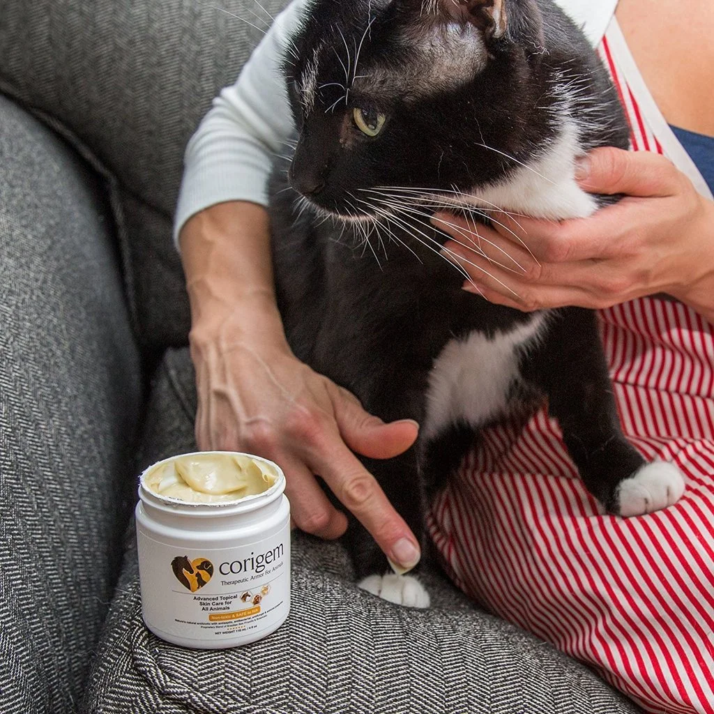 balm cat.jpg