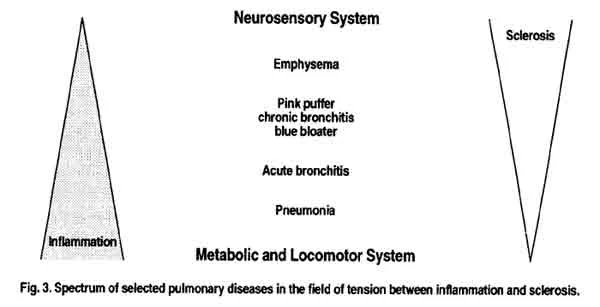 Fig. 3. Spectrum of selected pulmonary diseases in the field of tension between inflammation and sclerosis.