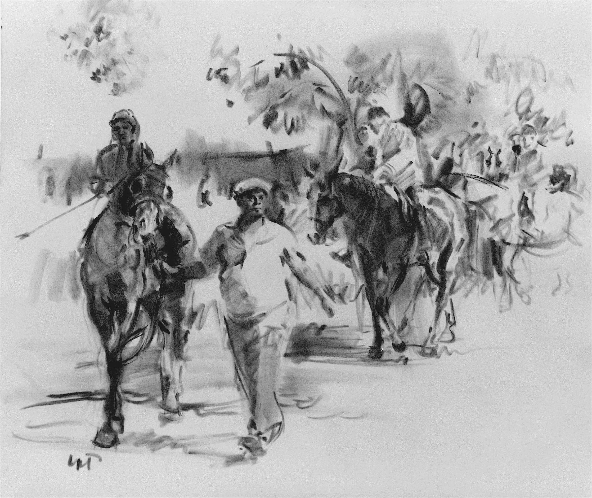 Horse  Drawings_0010 2.jpg