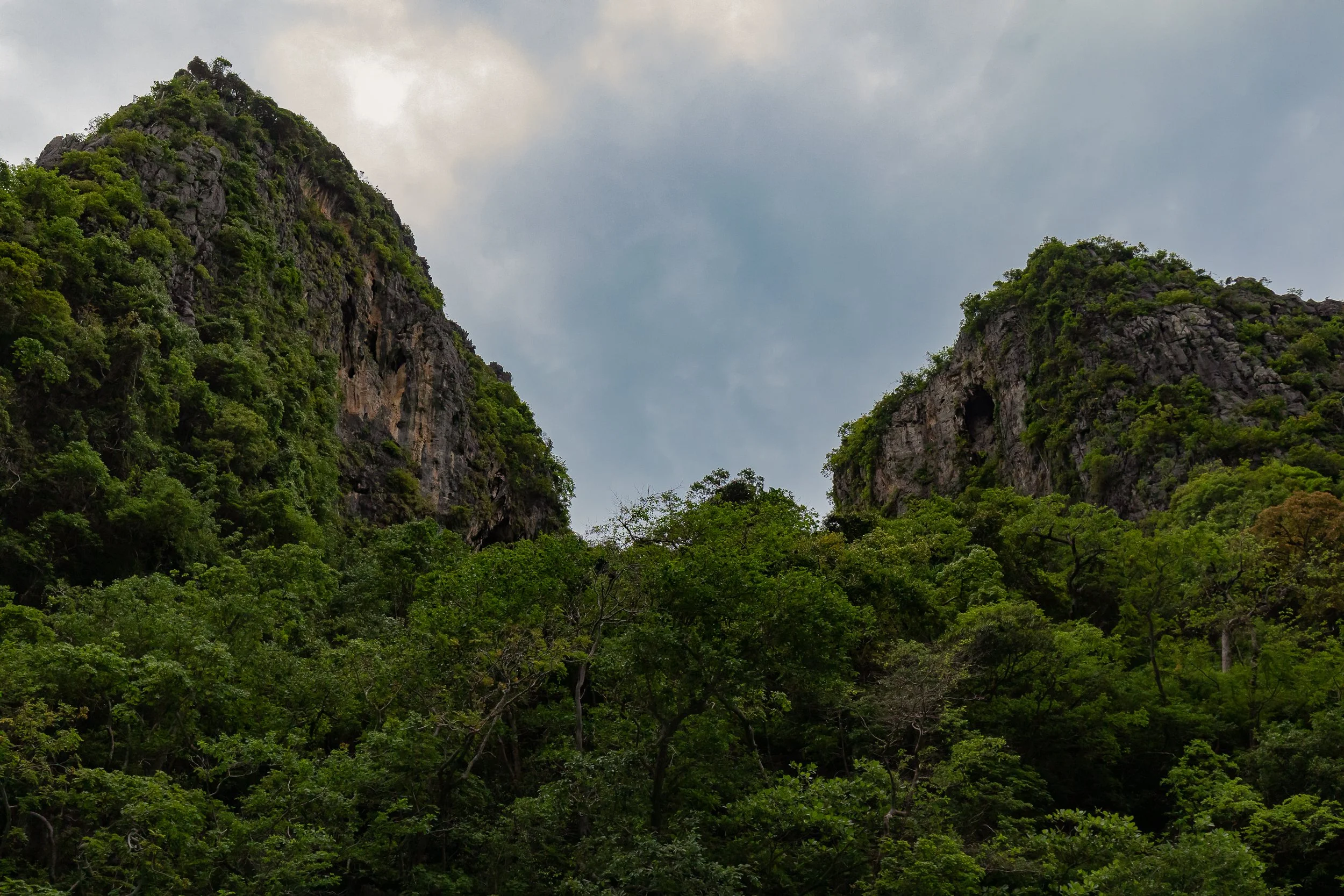 thailand- nature-6.JPG