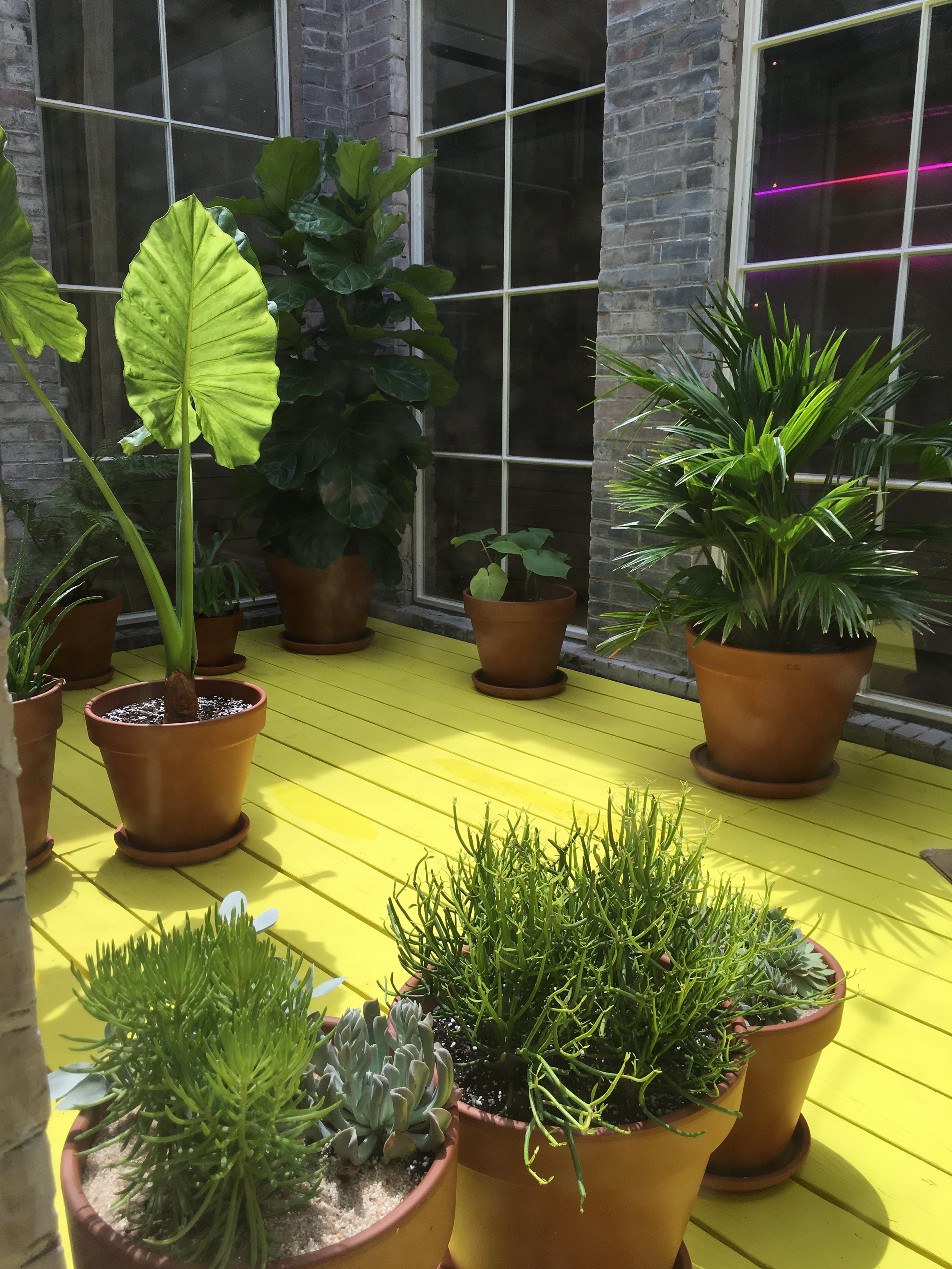 Indoor Plantscaping