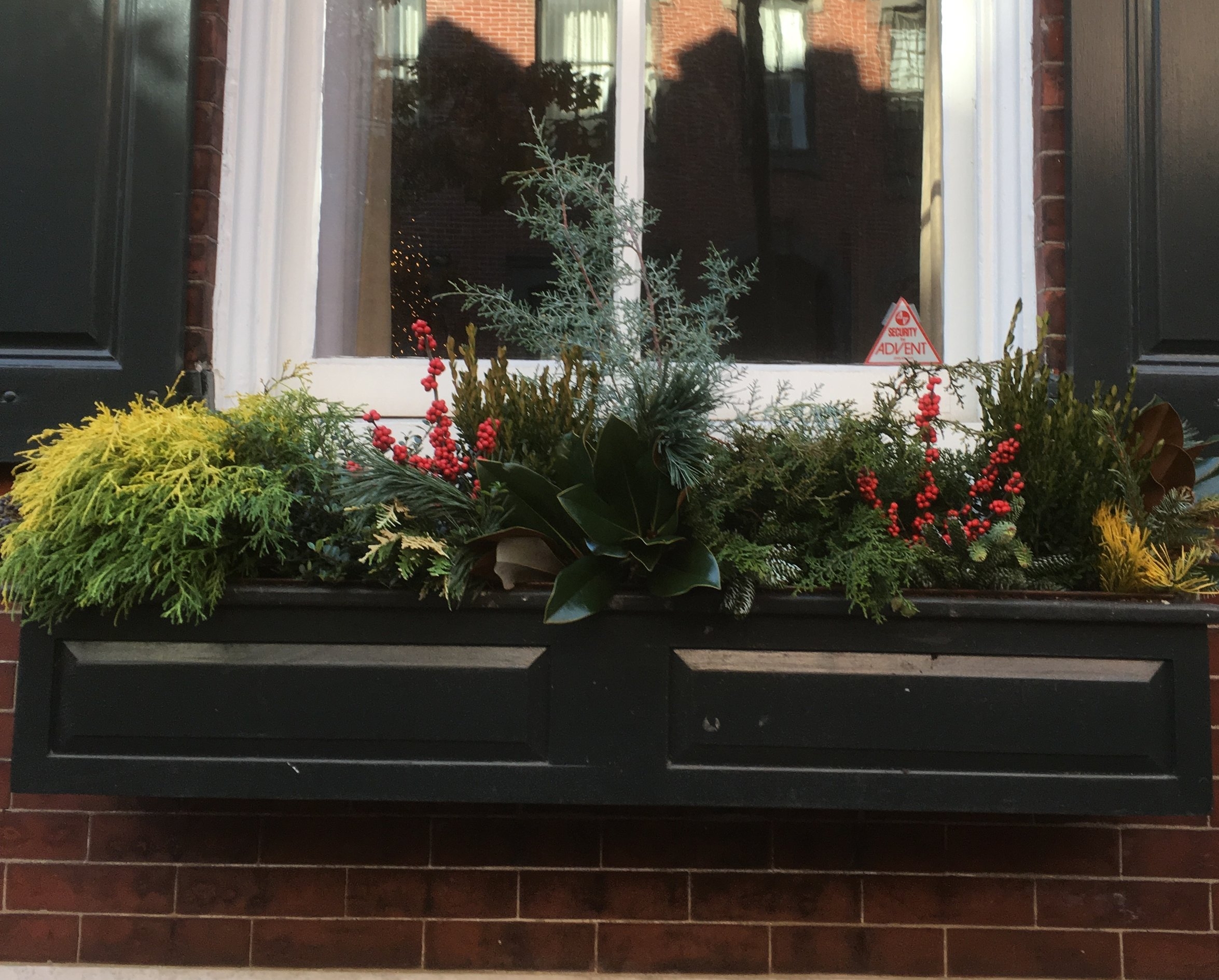 Windowboxes 