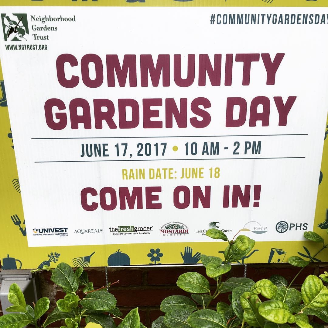 Participating in Community Gardens Day