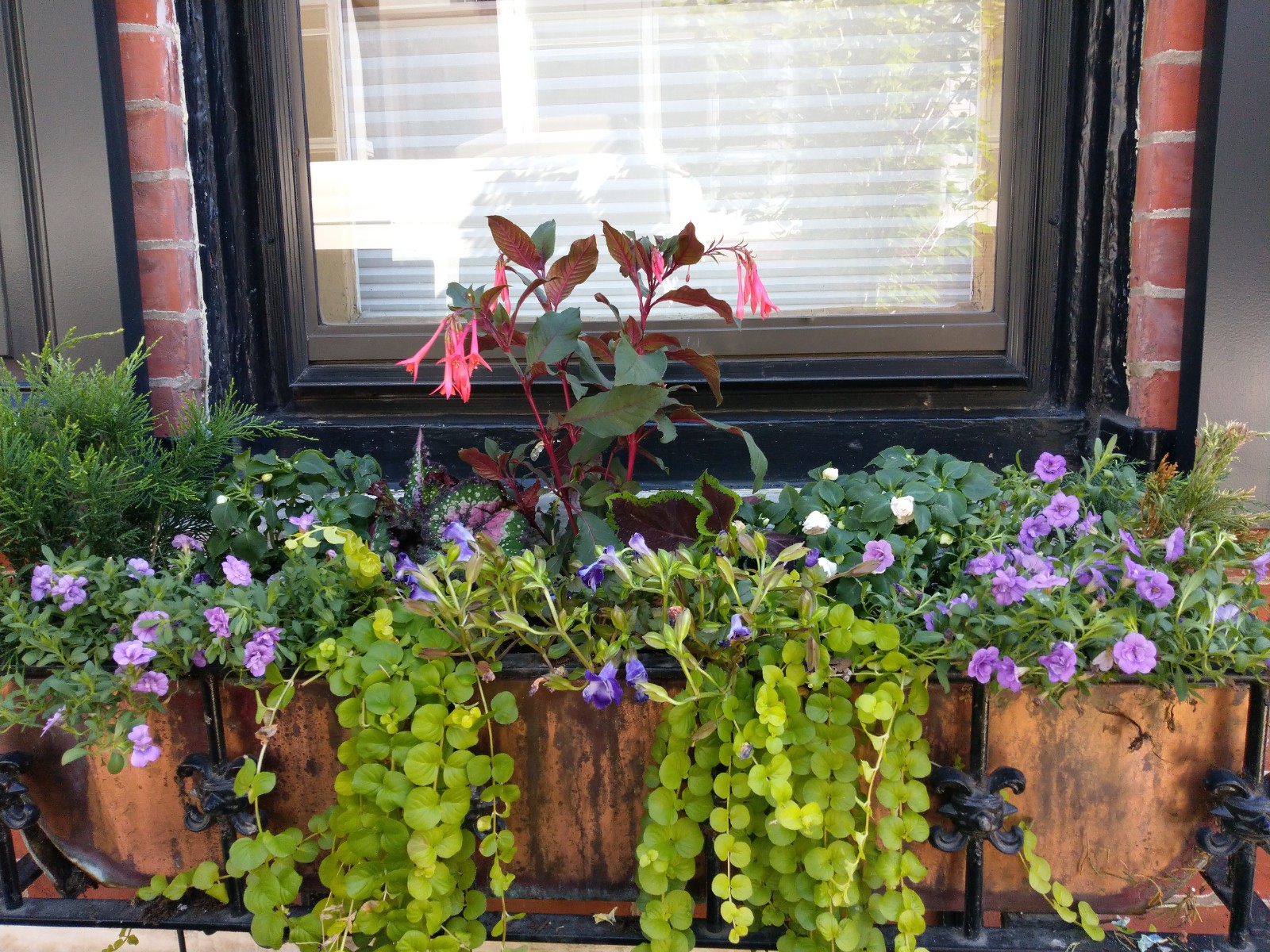 windowbox.jpg