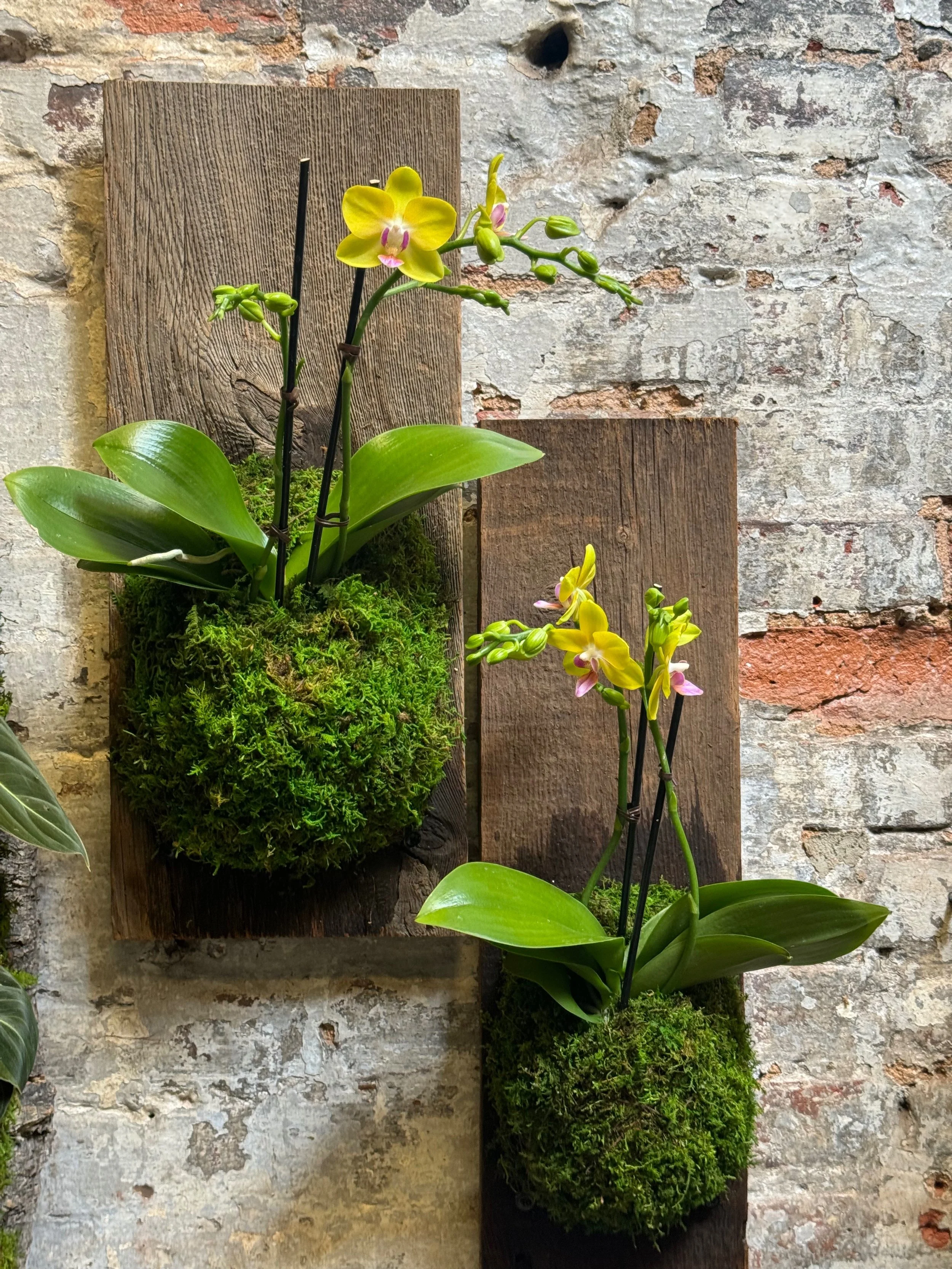 3A0809D1-E6CD-45D5-82EA-793CC1B59B02_L0_001-3_6_2025, 10_46_01 PM (1).jpg