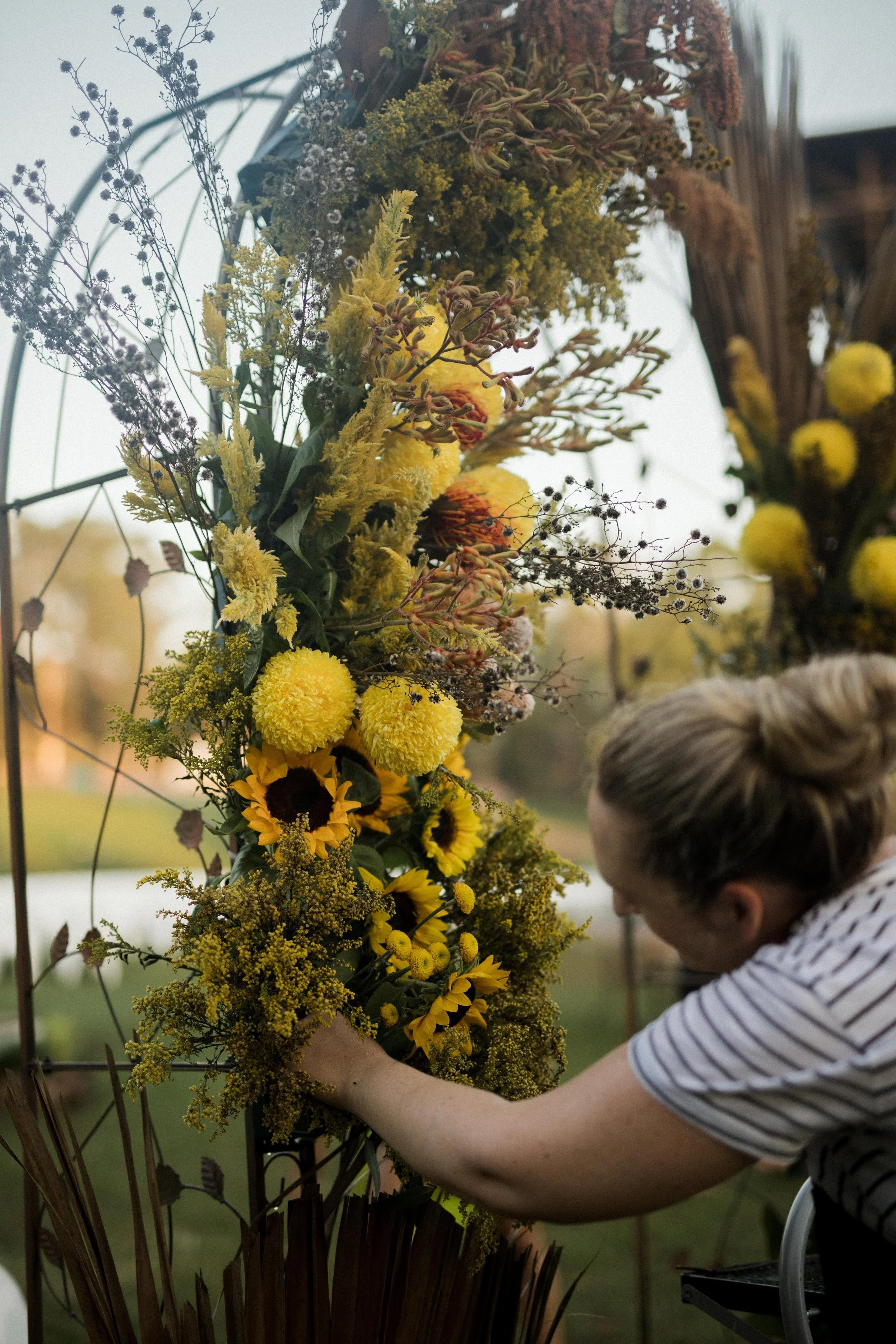 meet the team (2).jpeg