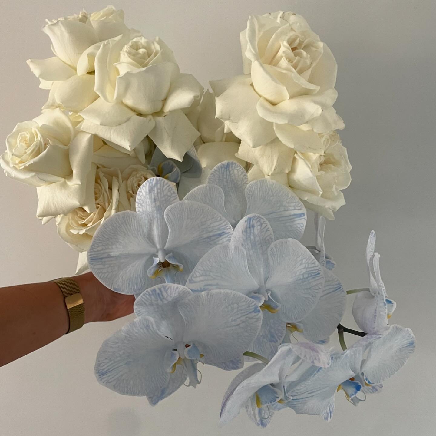 //SARAH &amp; HER BRIDEBABES// Those creamy Marshmallow Playa Blancas but with a unique pop@of blue for our bride and some baby&rsquo;s breath for the girls. #brides #bridesmaids #bridal #bouquets #weddings #sydneyweddings #love #floral #floraldesign