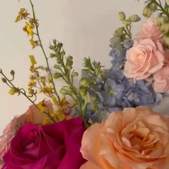 "You want colour"

If this feels like your vibe, we&rsquo;d love to hear about your plans. Enquire via the link in  bio🍉

www.darlingevents.com.au 
#darlingevents #sydneyflorist #weddingbouquet #pasadenasydney #sydneywedding