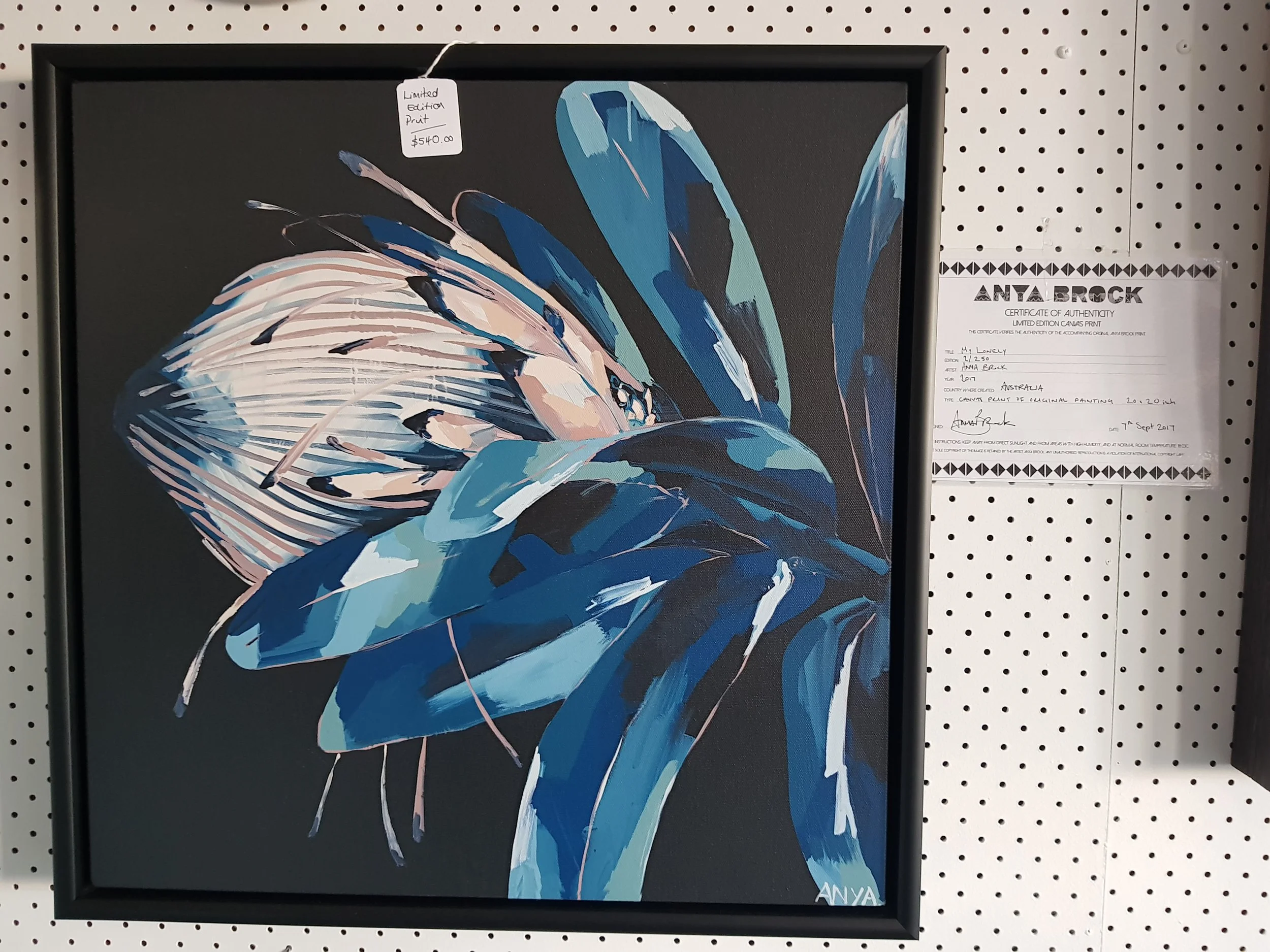 $540 Limited edition Anya Brock print
