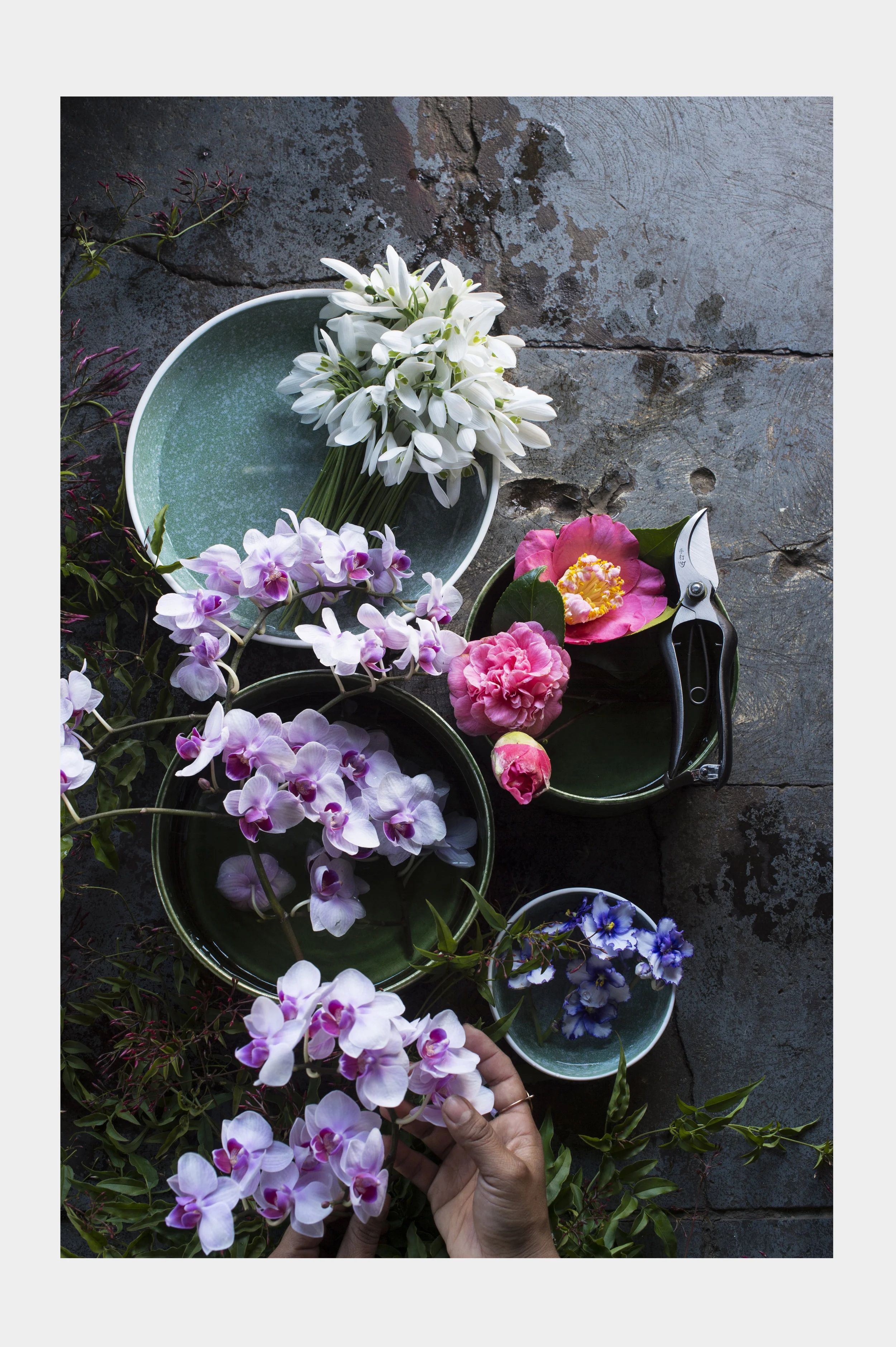flower 3.jpg