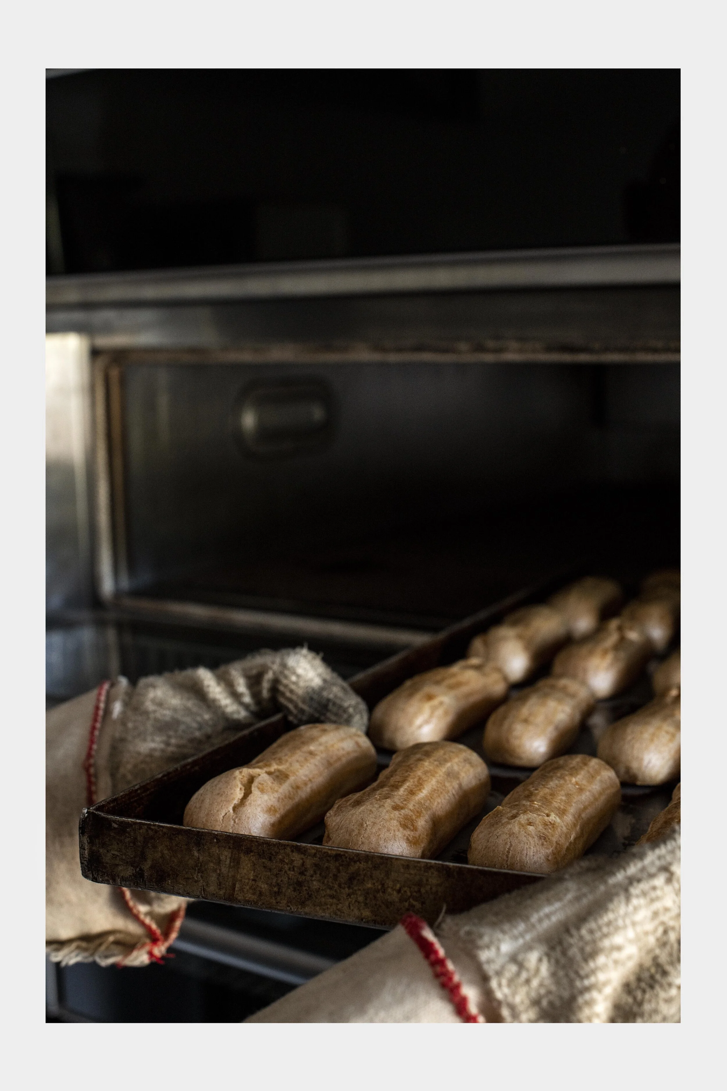 choux 9.jpg