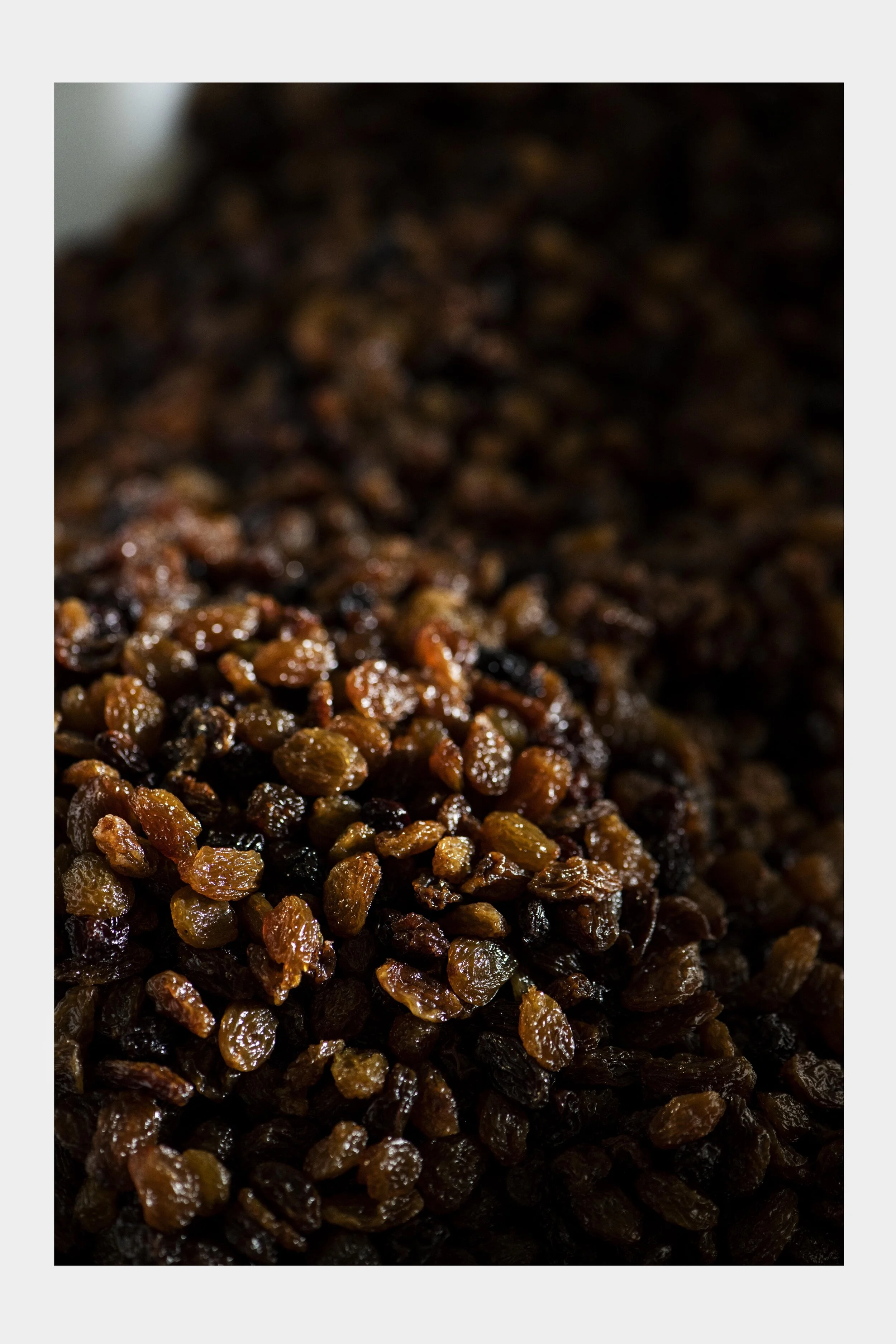 pud 7.jpg