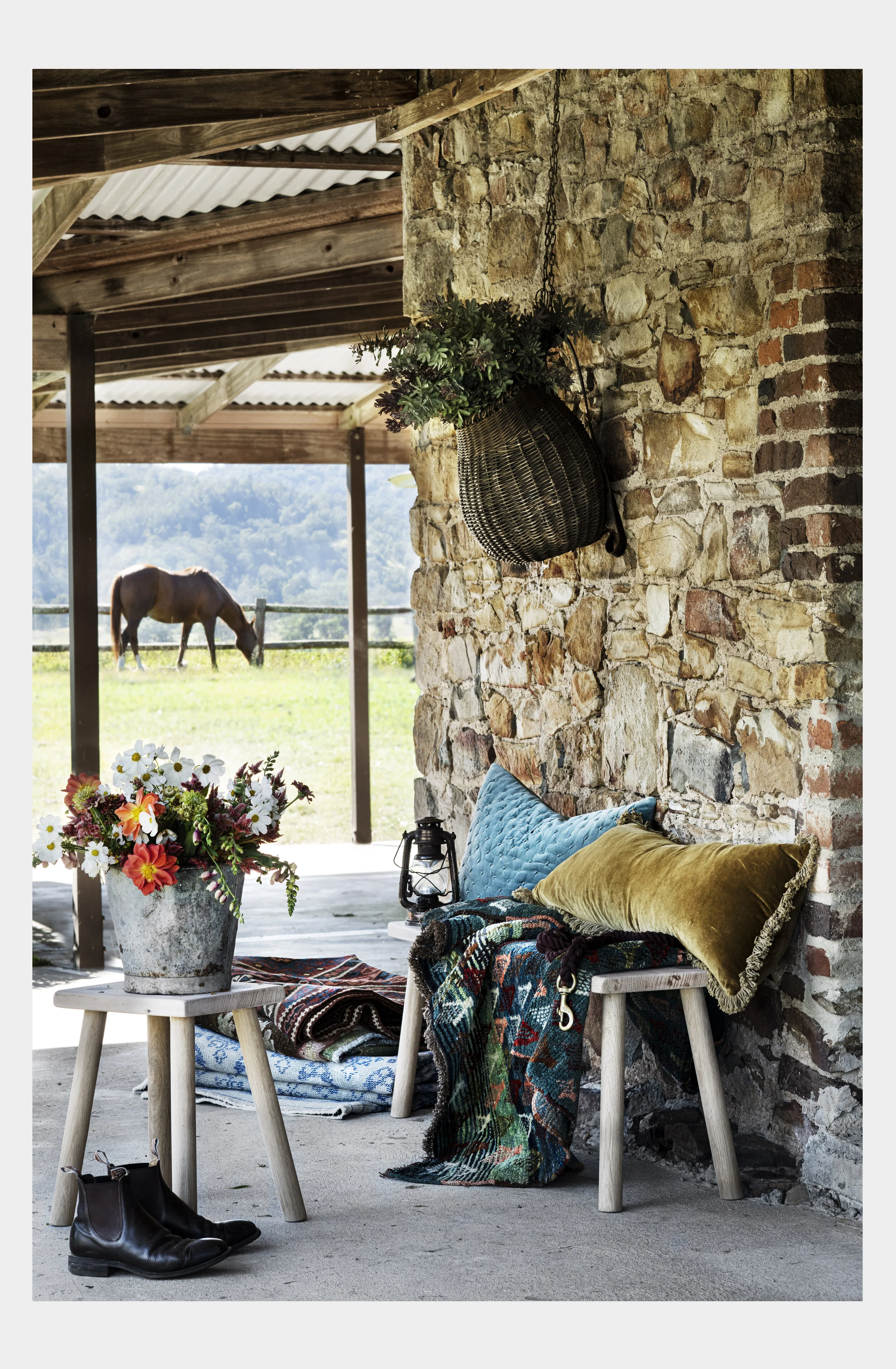 rug2-1.jpg