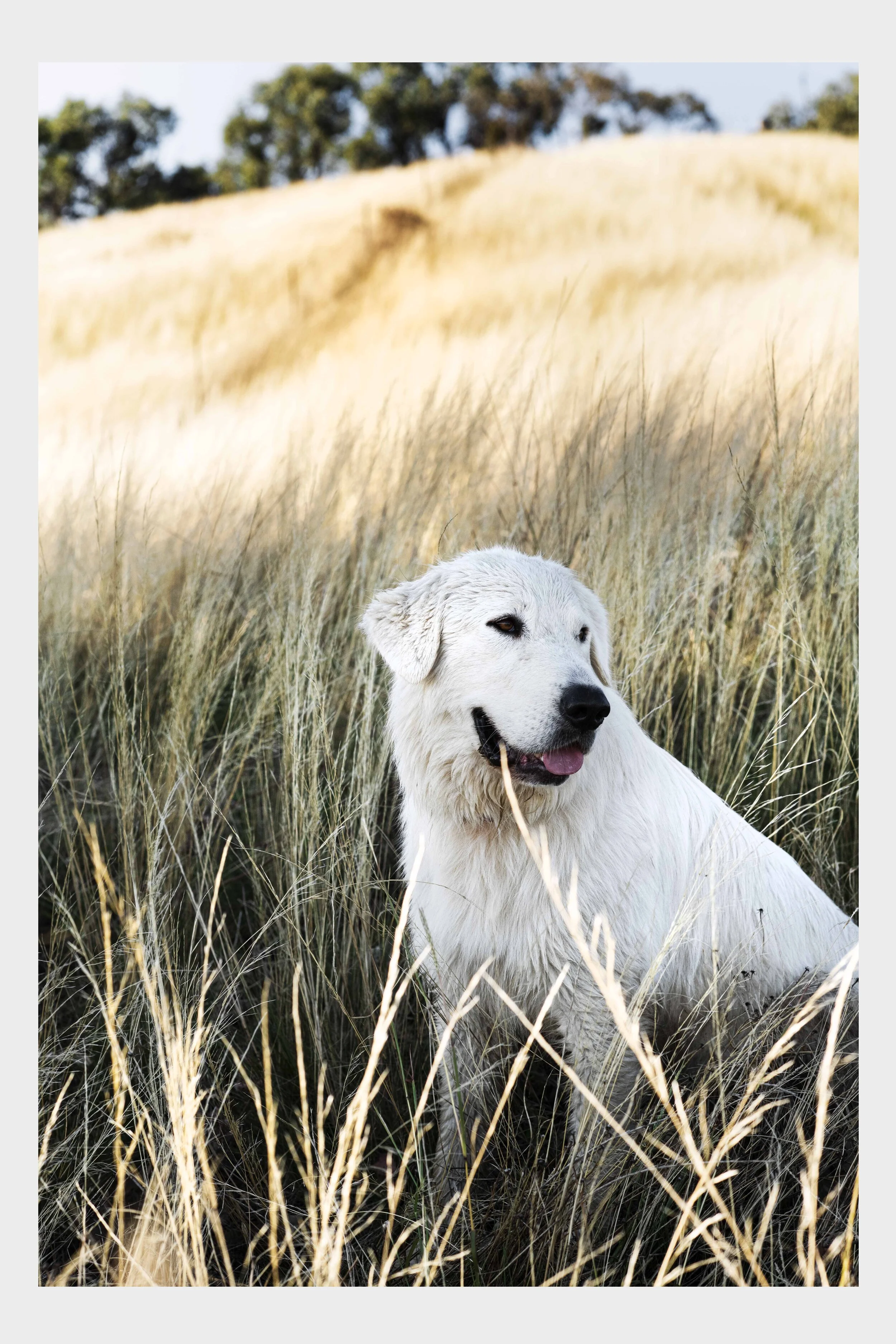 Highfield farm 5.jpg