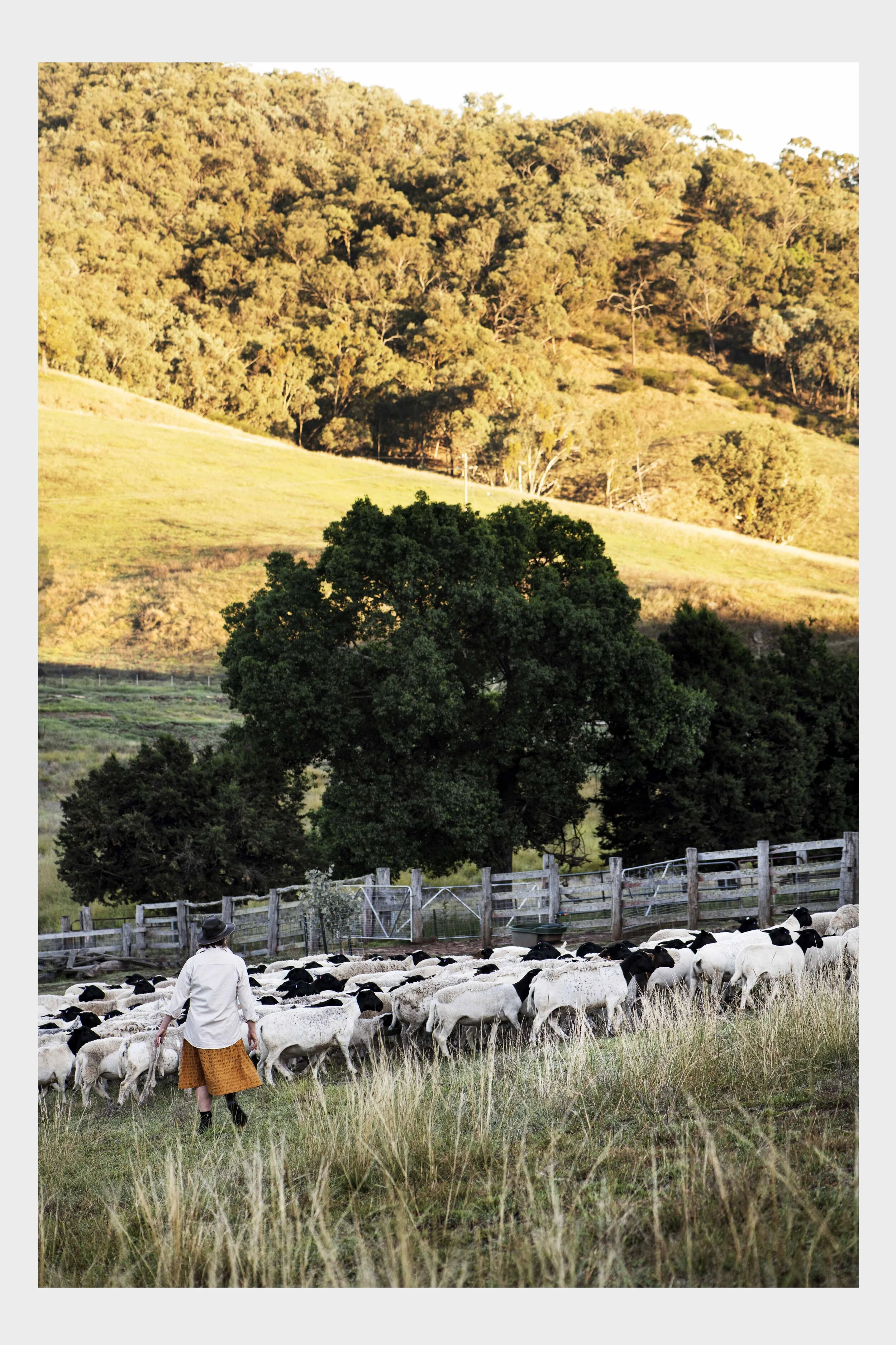 Highfield farm 2.jpg