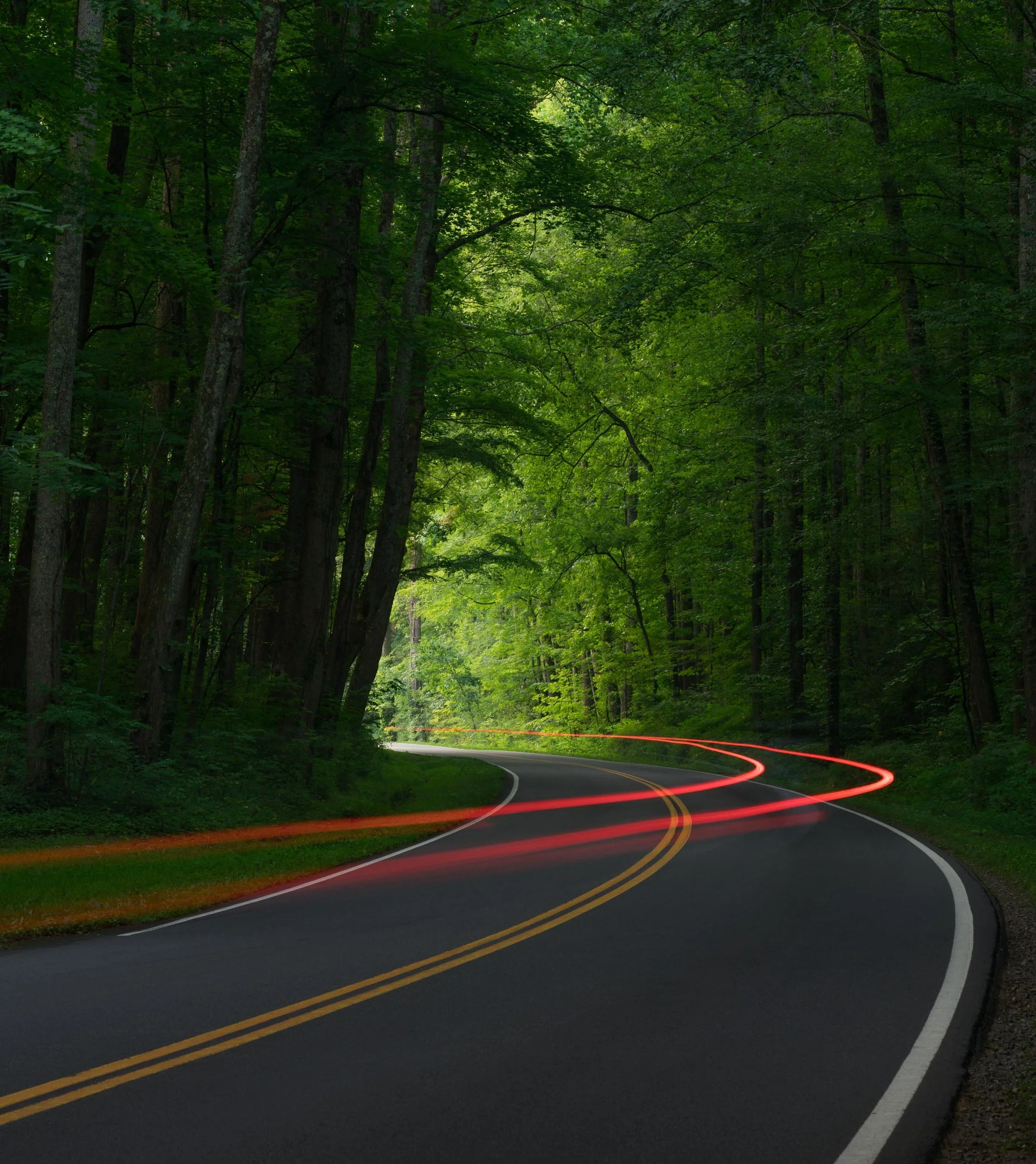 Alfredo Mora Photography-14.JPG