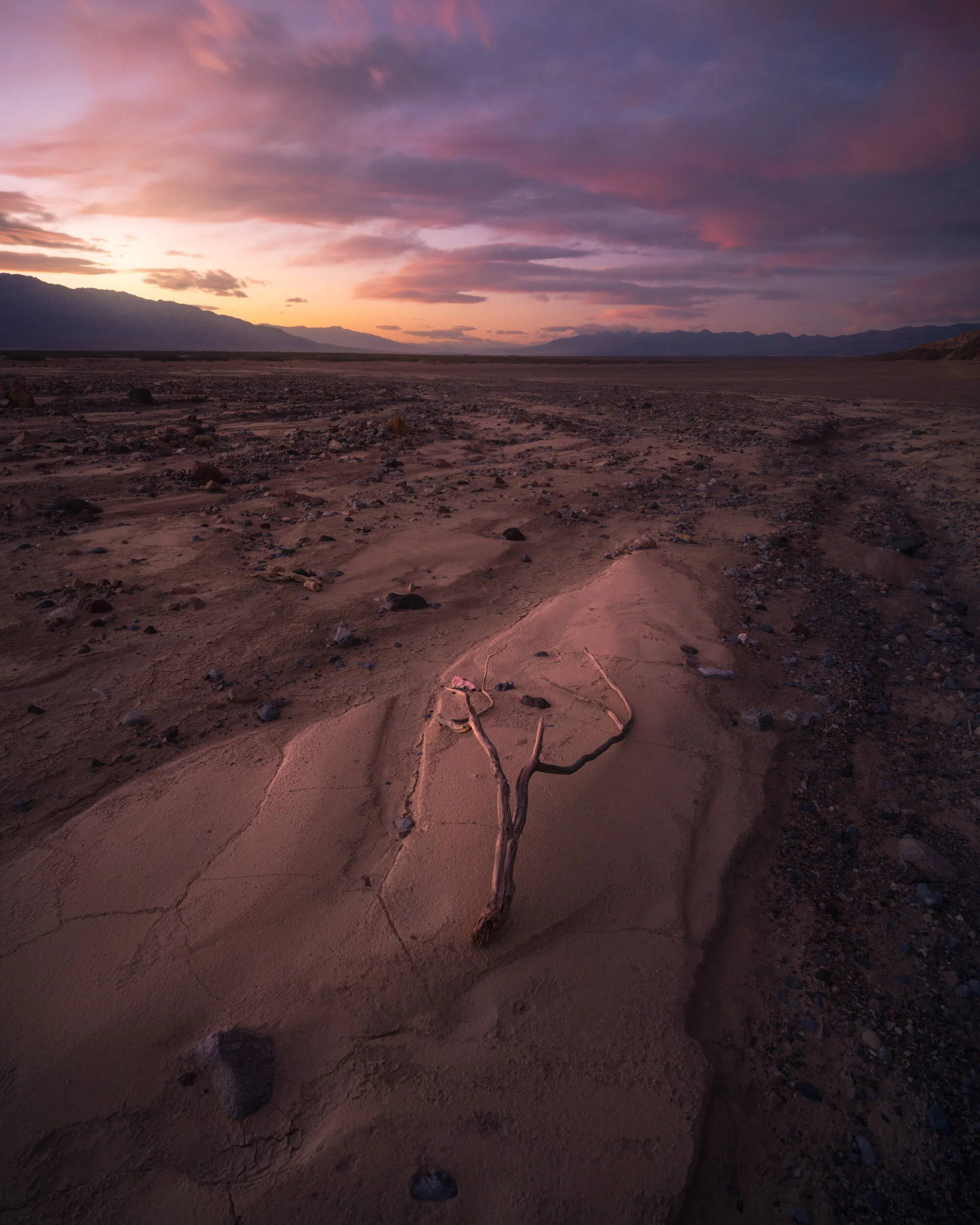 Alfredo Mora Photography-18.JPG