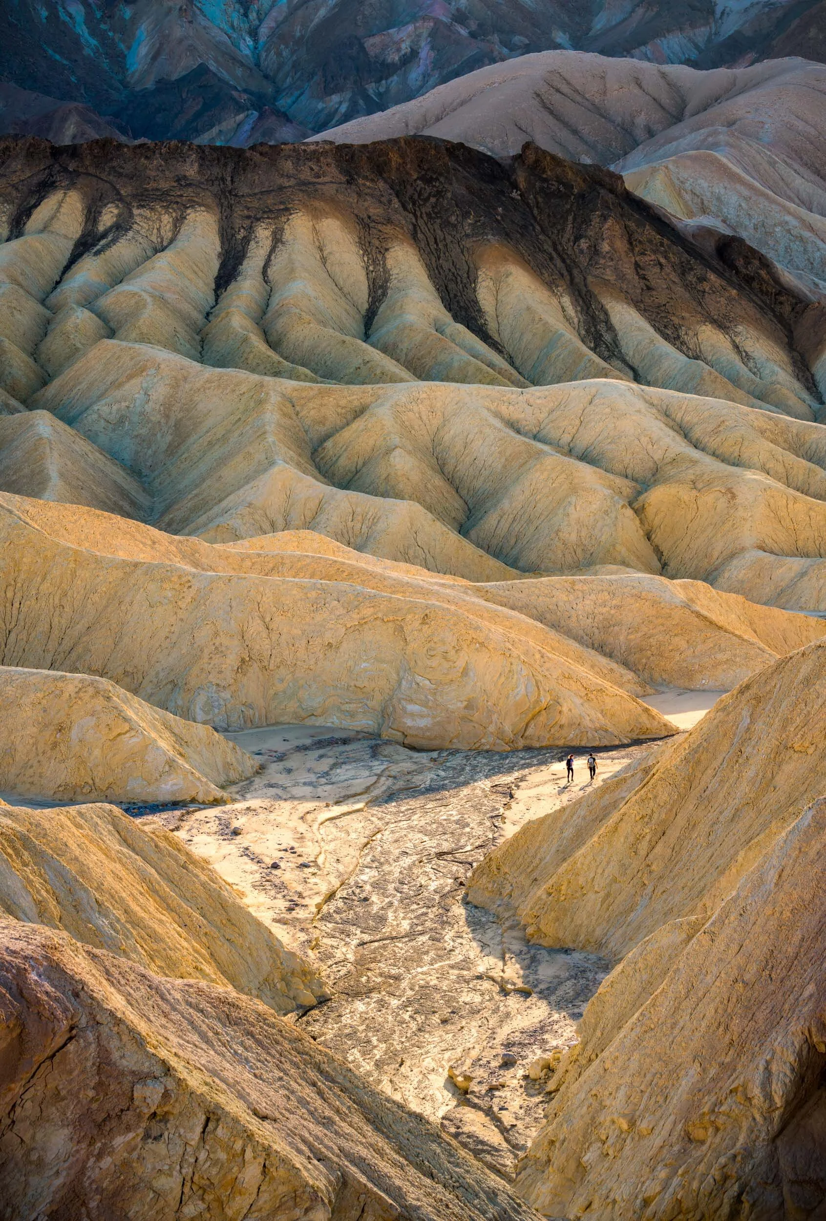 Alfredo Mora Photography-23.JPG