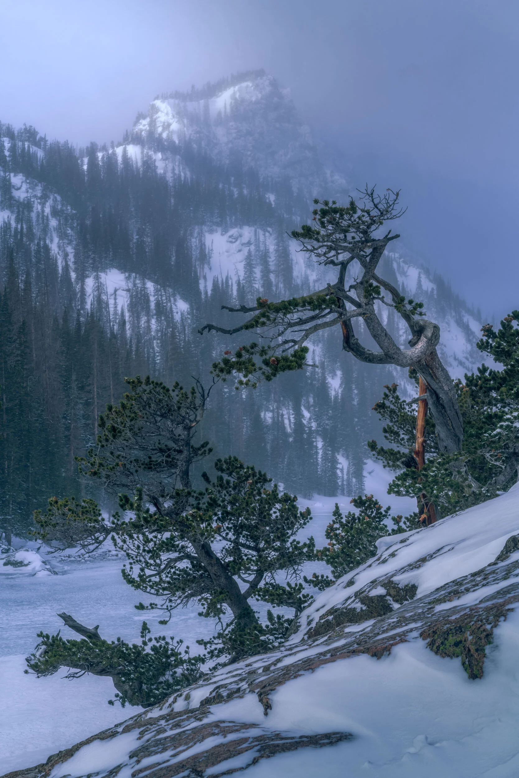 Alfredo Mora Photography-36.JPG