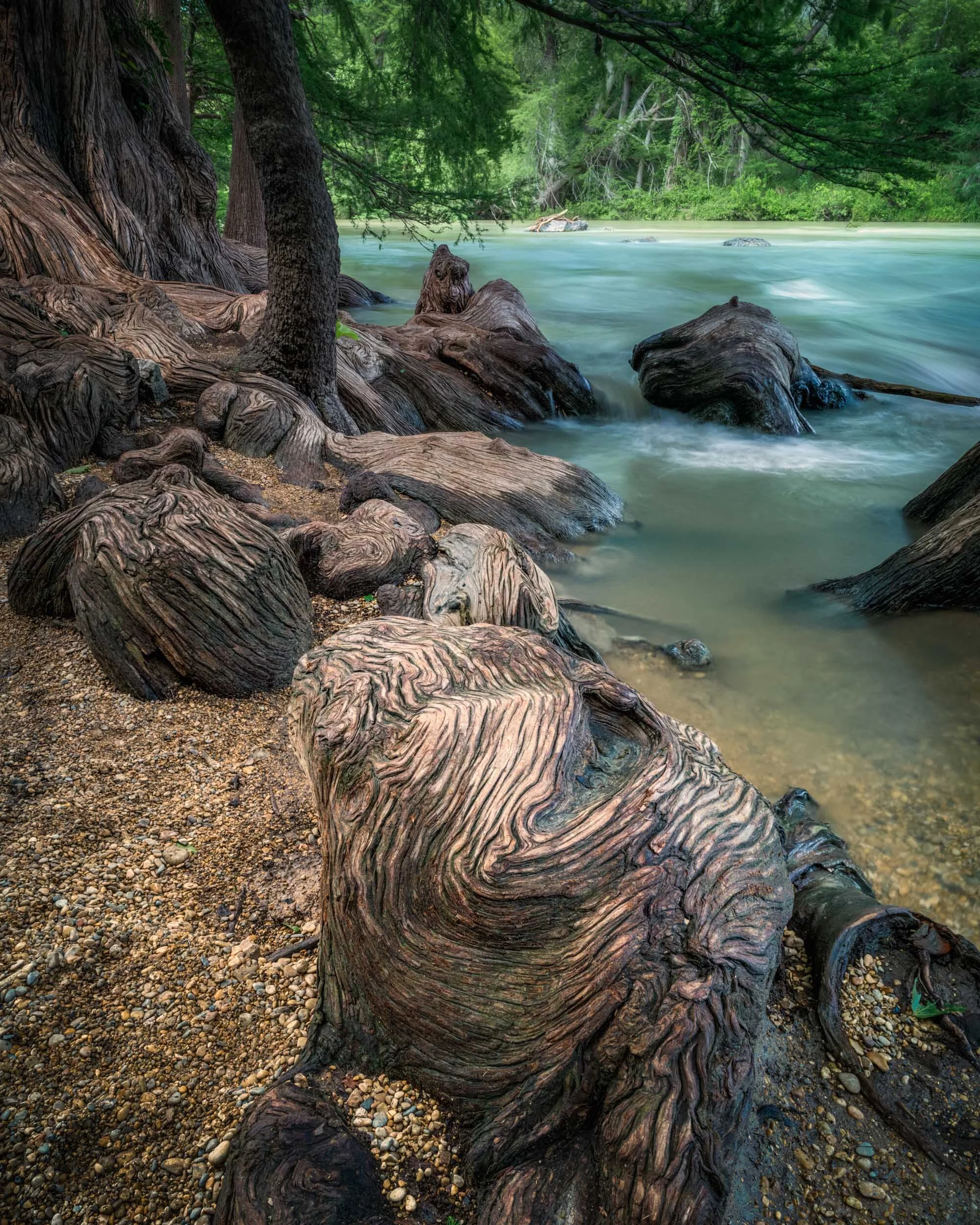 Alfredo Mora Photography-38.JPG