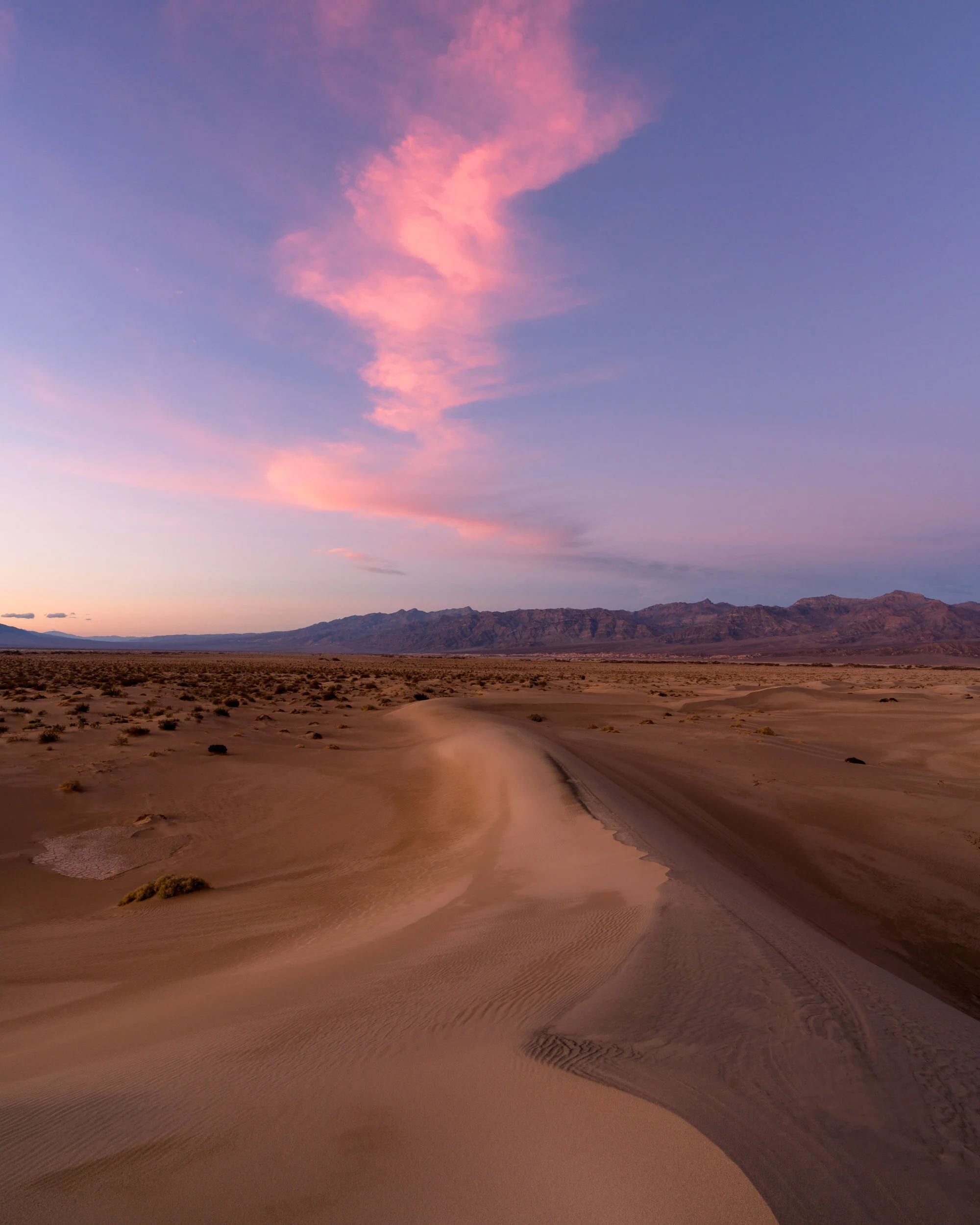 Alfredo Mora Photography-40.JPG