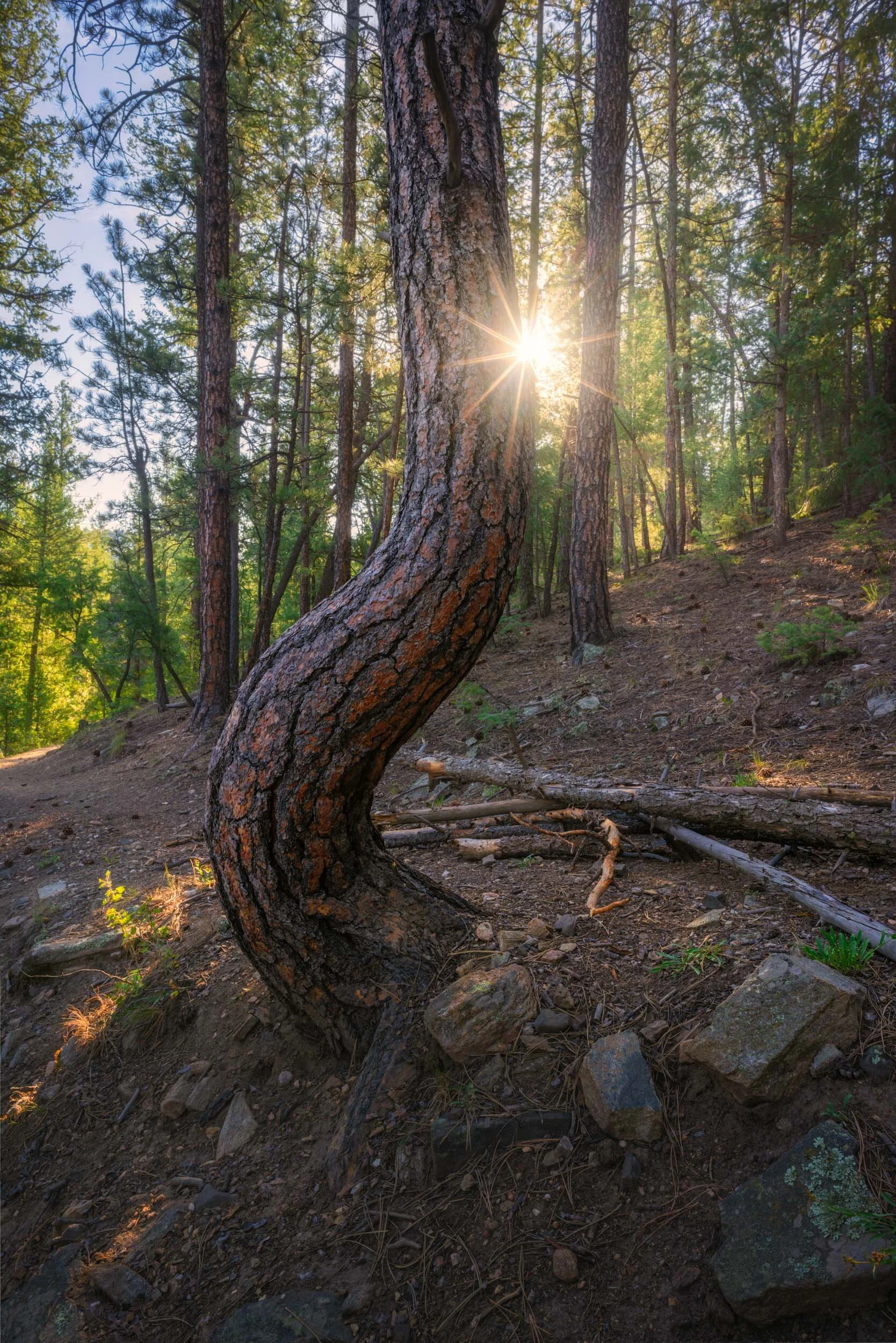 Alfredo Mora Photography-55.JPG