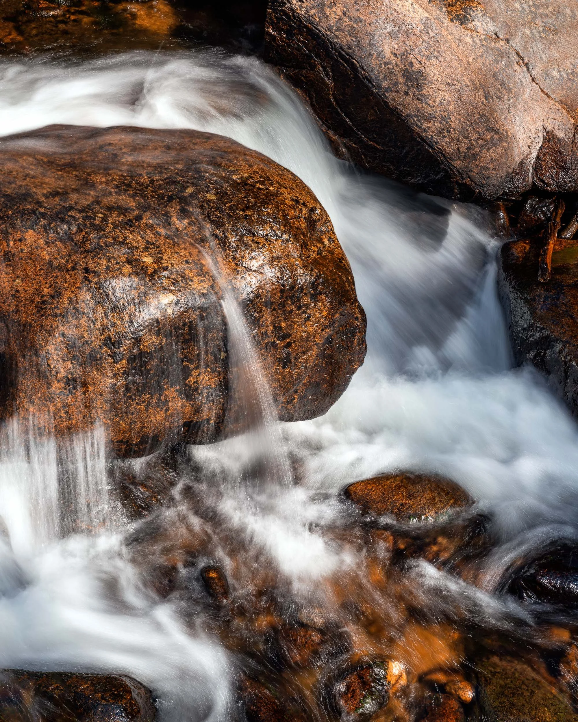 Alfredo Mora Photography New Releases-212.jpg