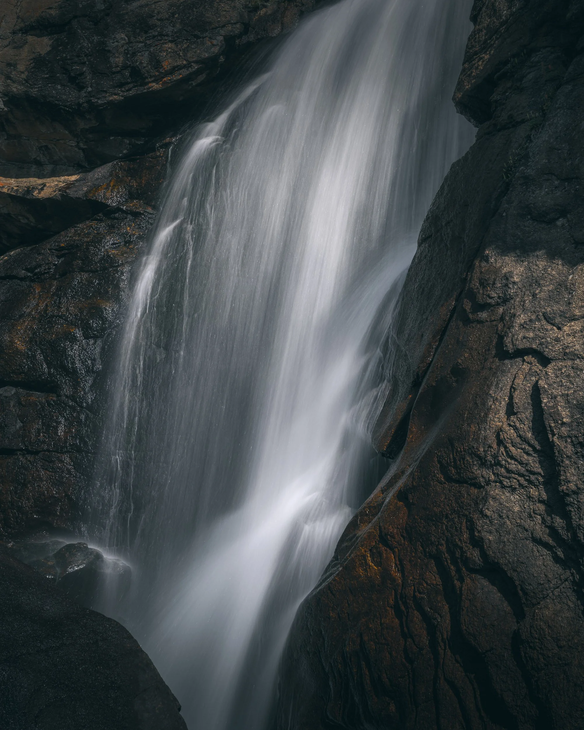 Alfredo Mora Photography New Releases-213.jpg